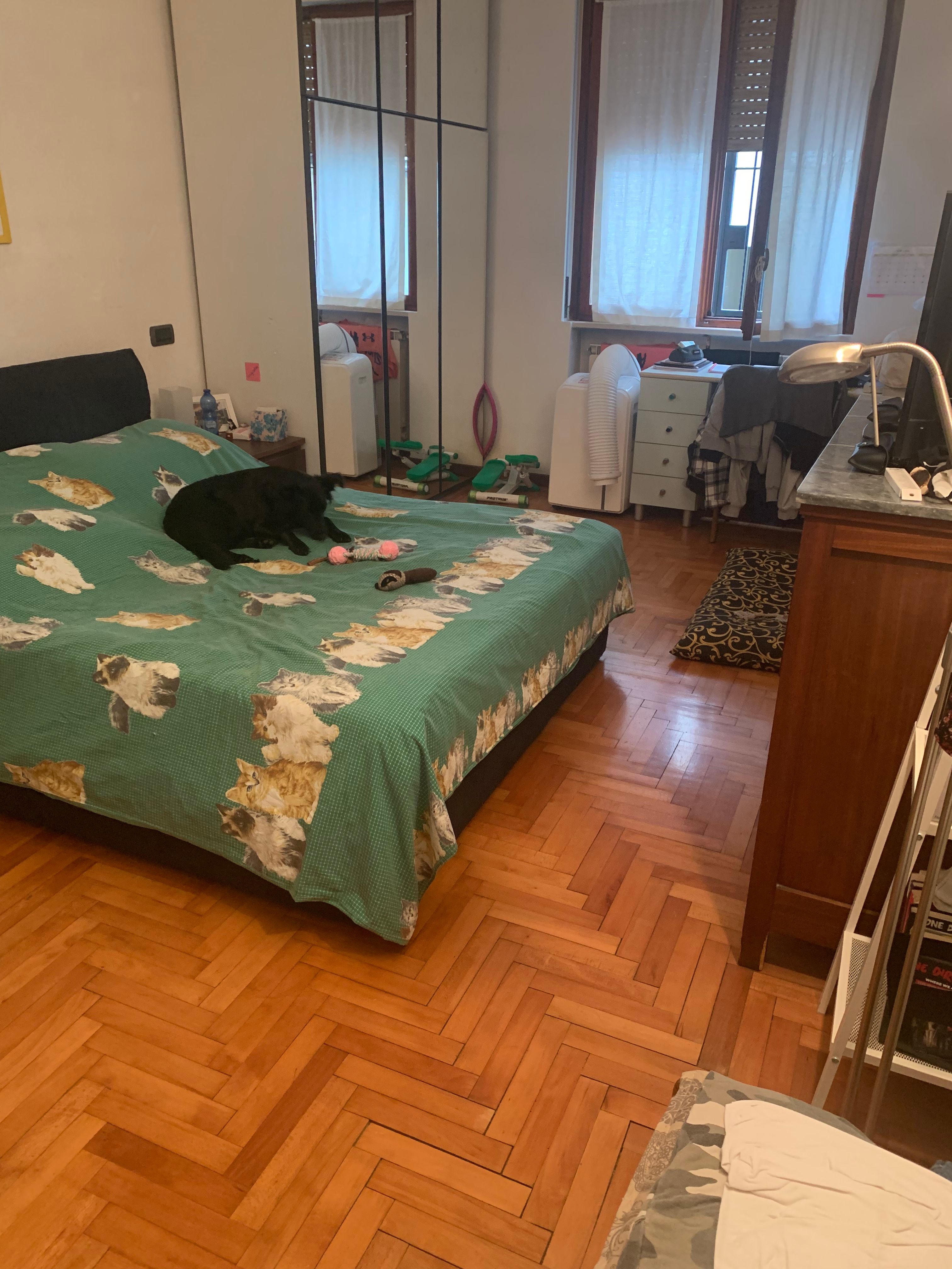 image-17