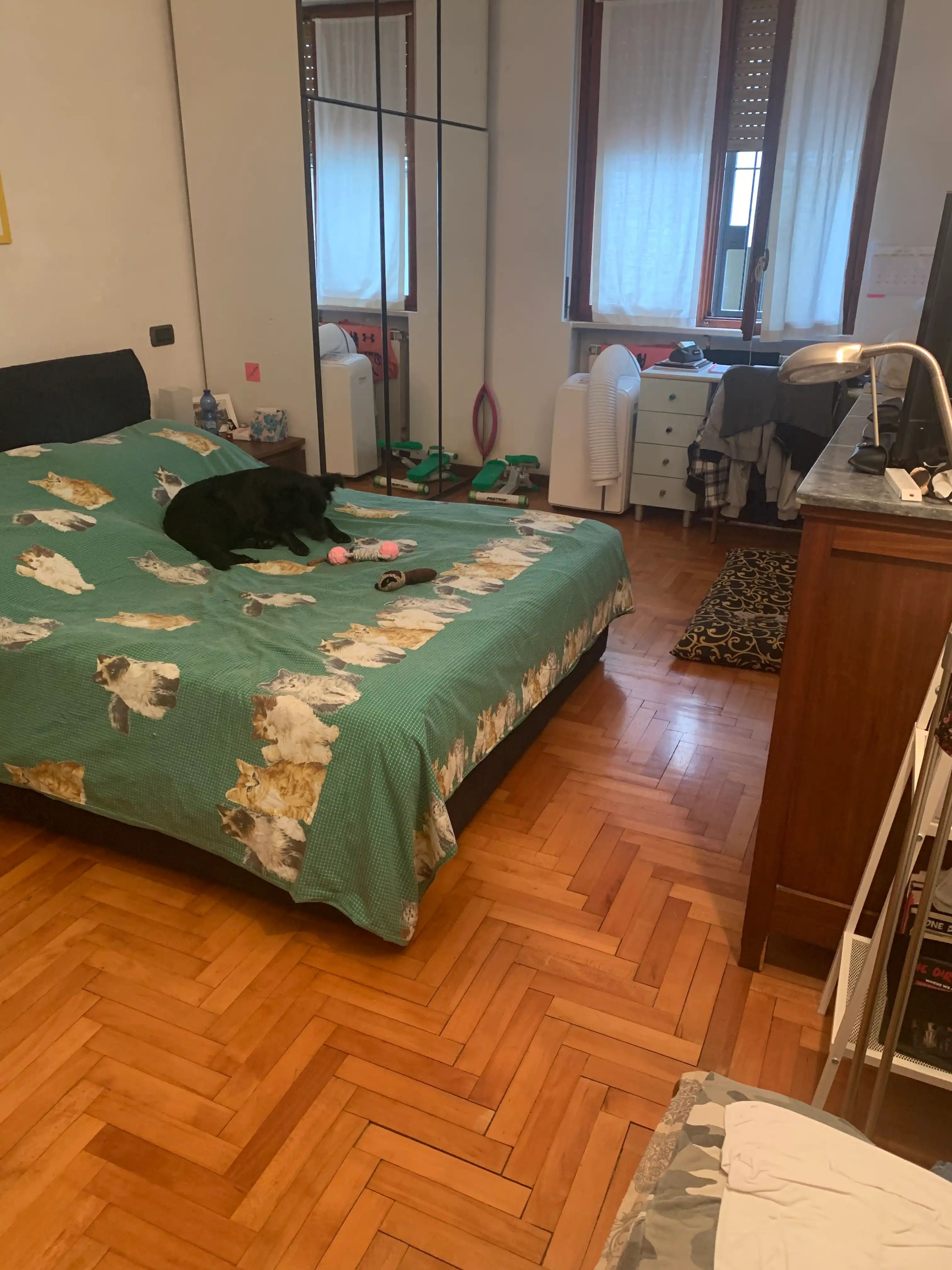 image-17