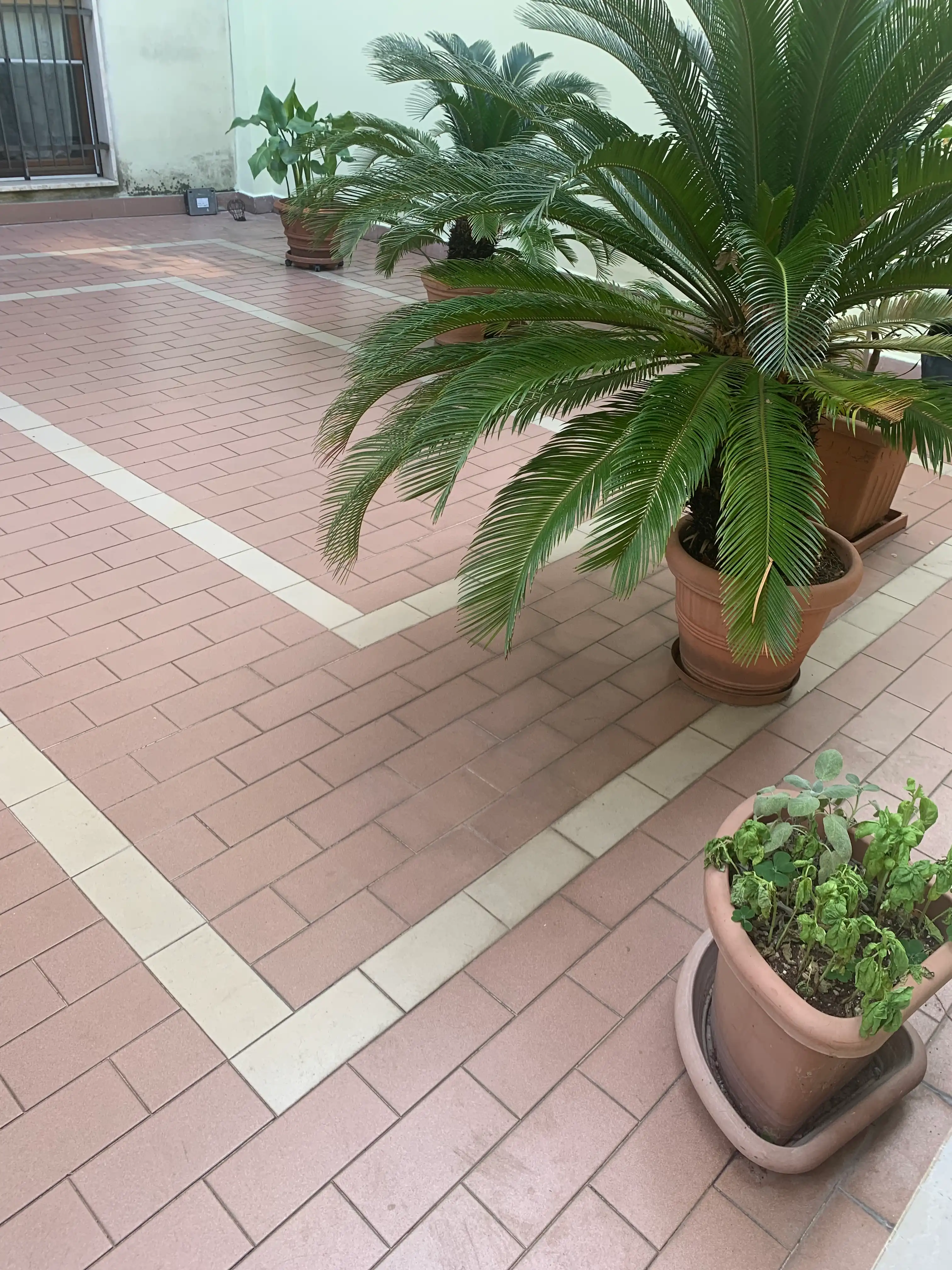 image-15