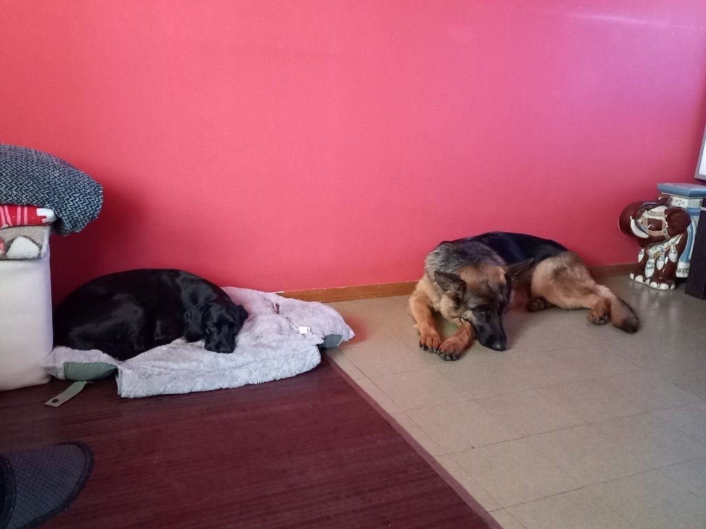 image-46