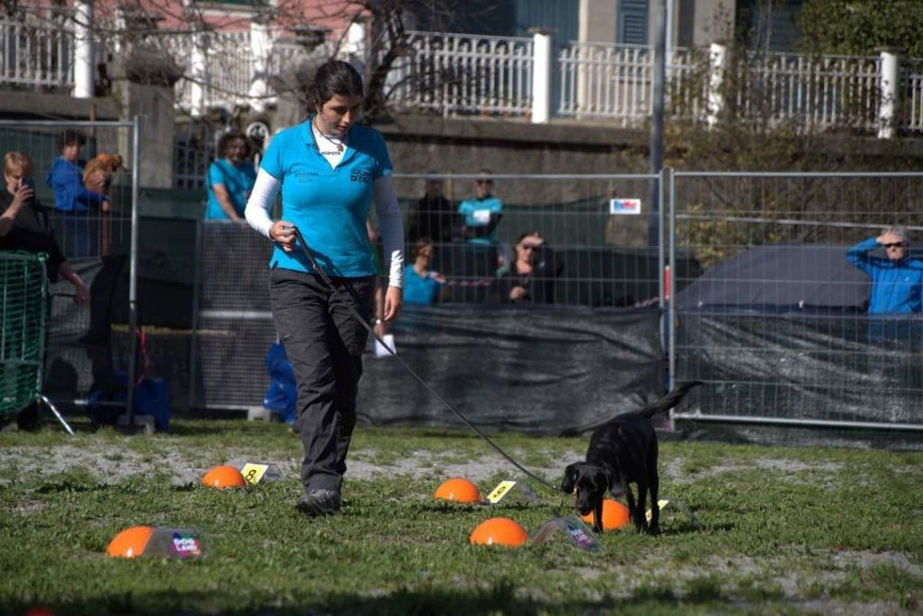 image-39