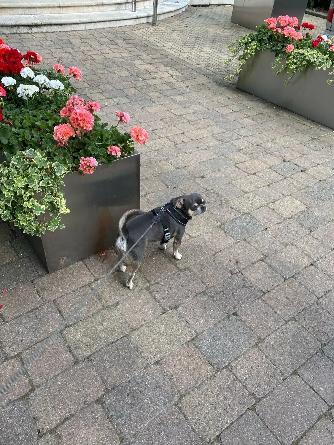 image-22