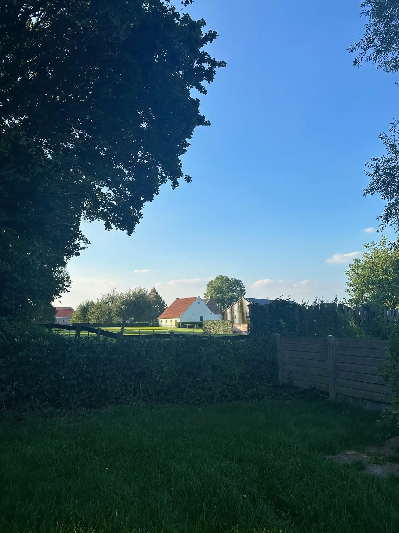 image-20