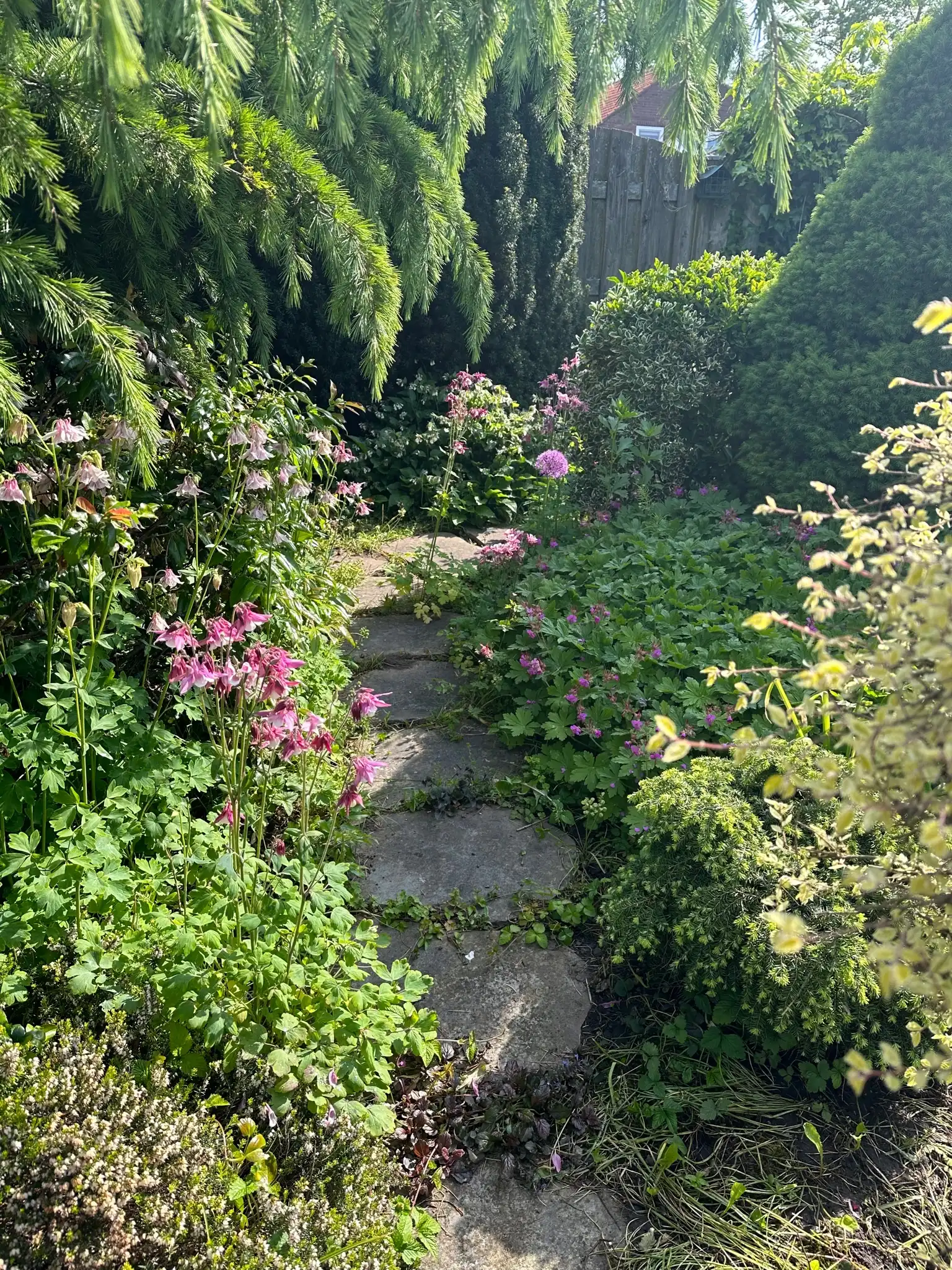 image-17