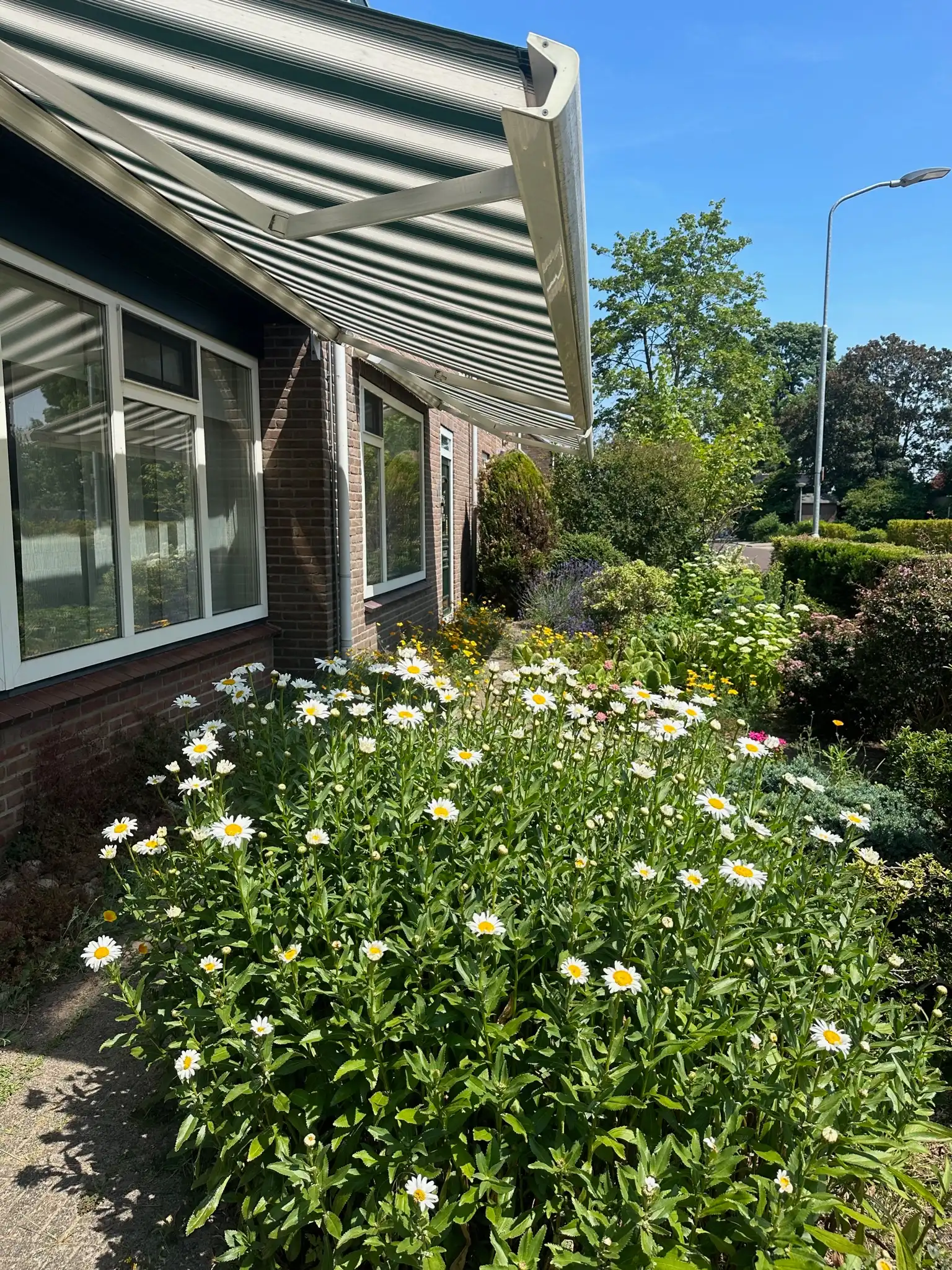 image-16