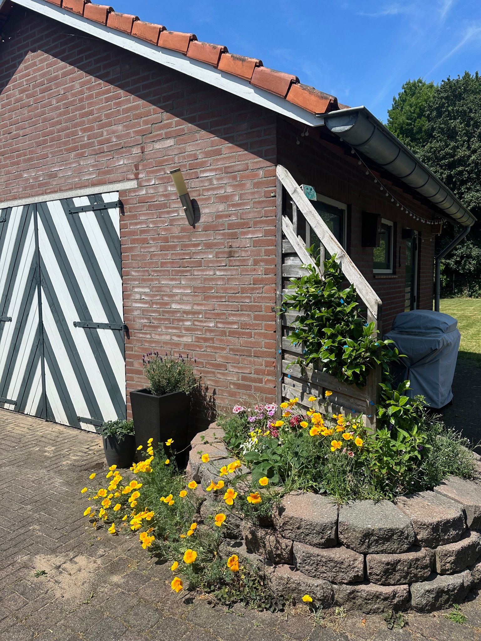 image-18