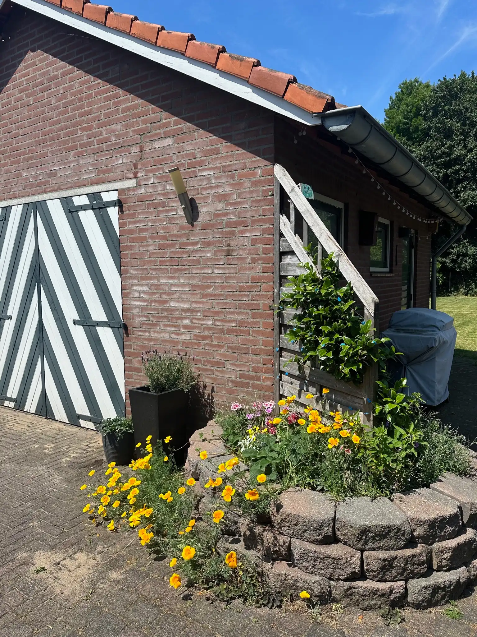 image-18