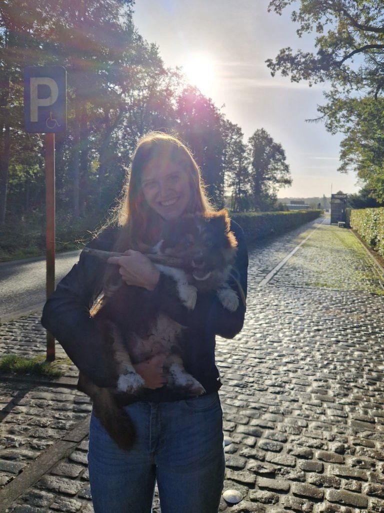image-6