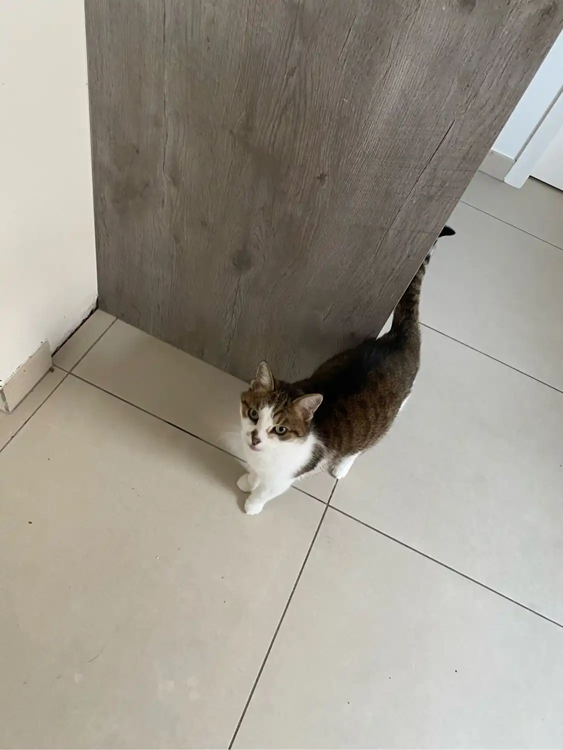 image-11
