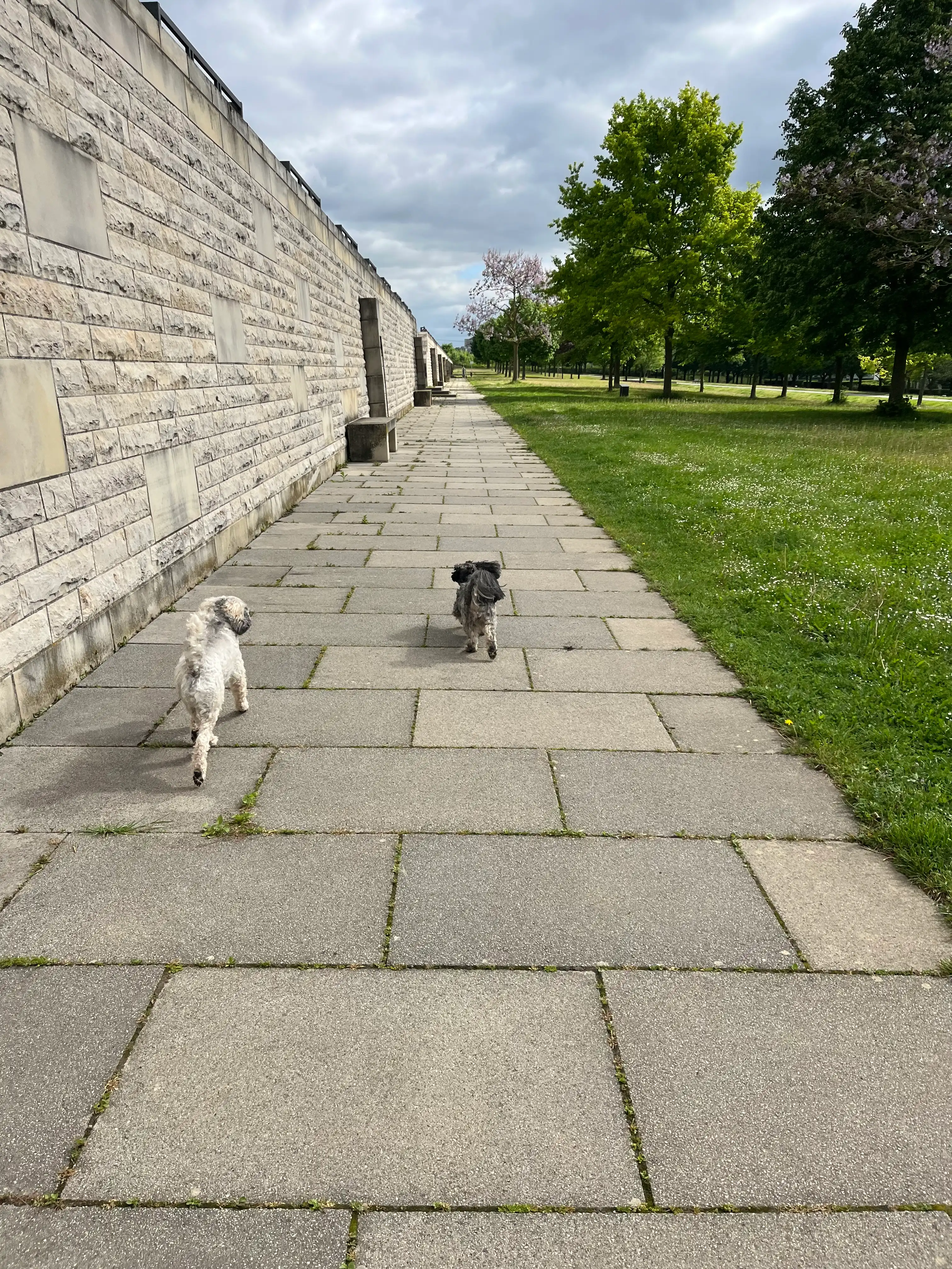 image-17