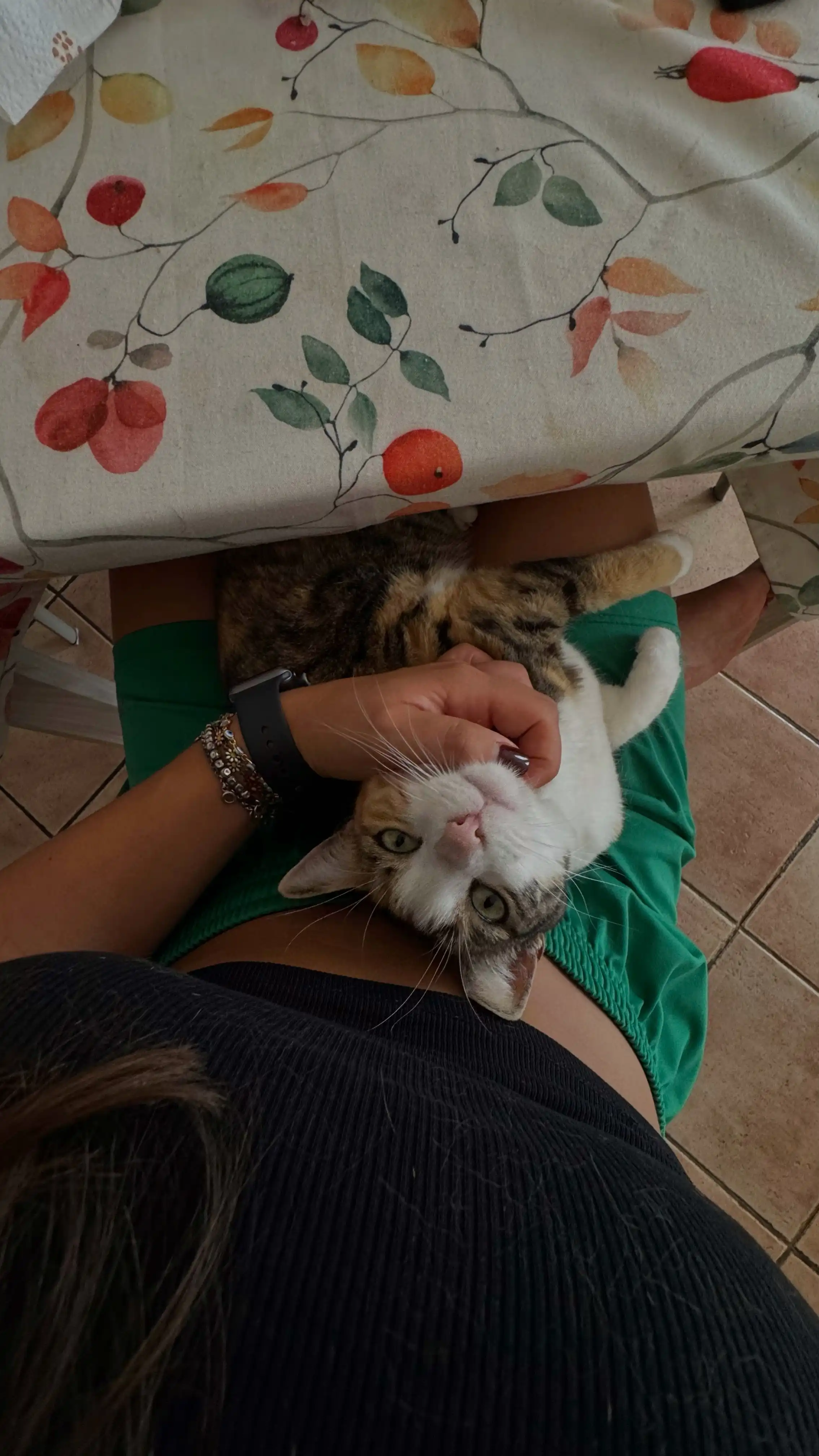 image-6