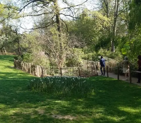 image-3