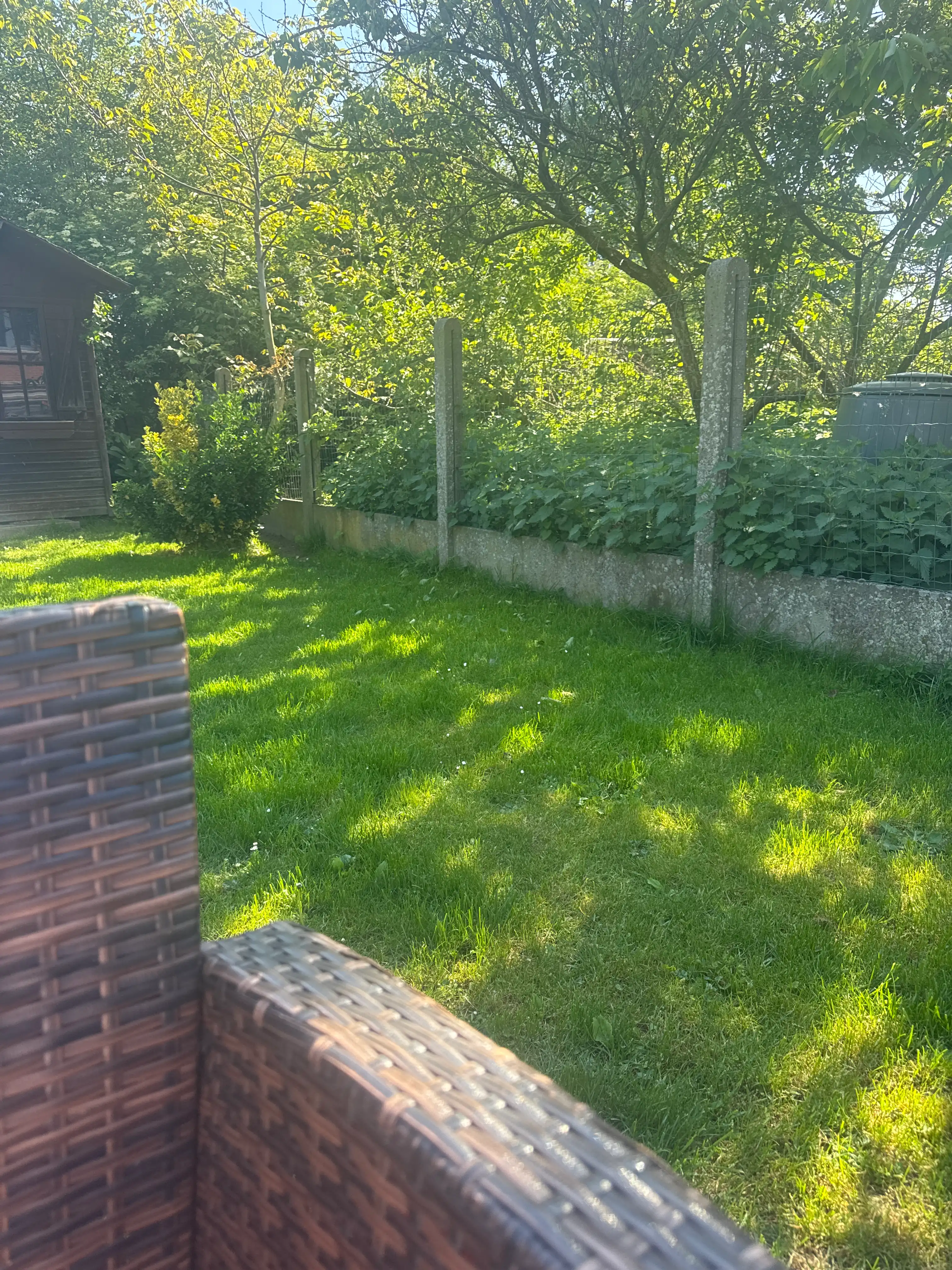 image-28