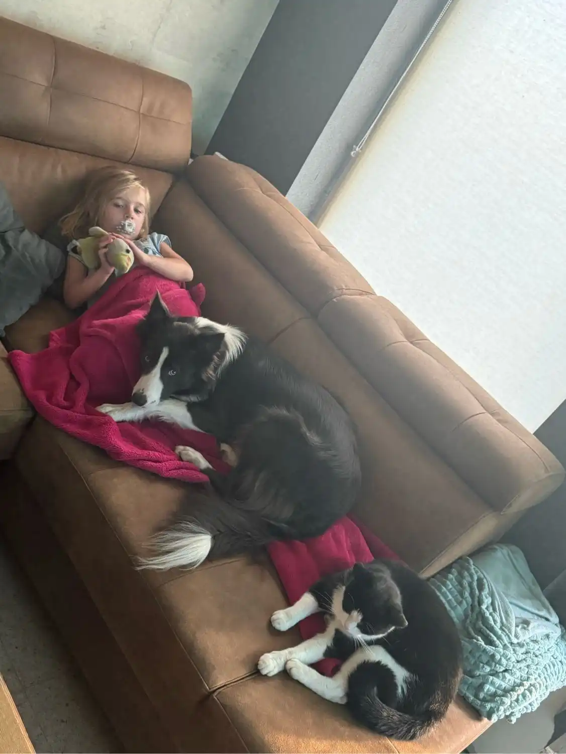 image-11