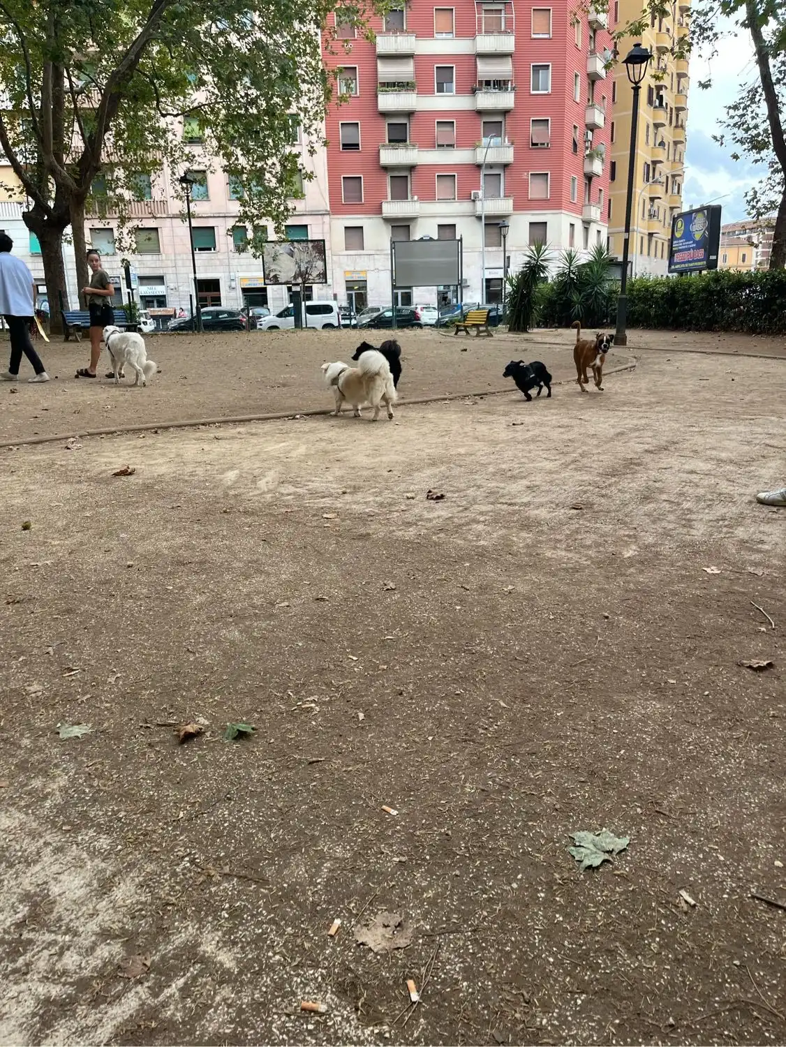 image-11