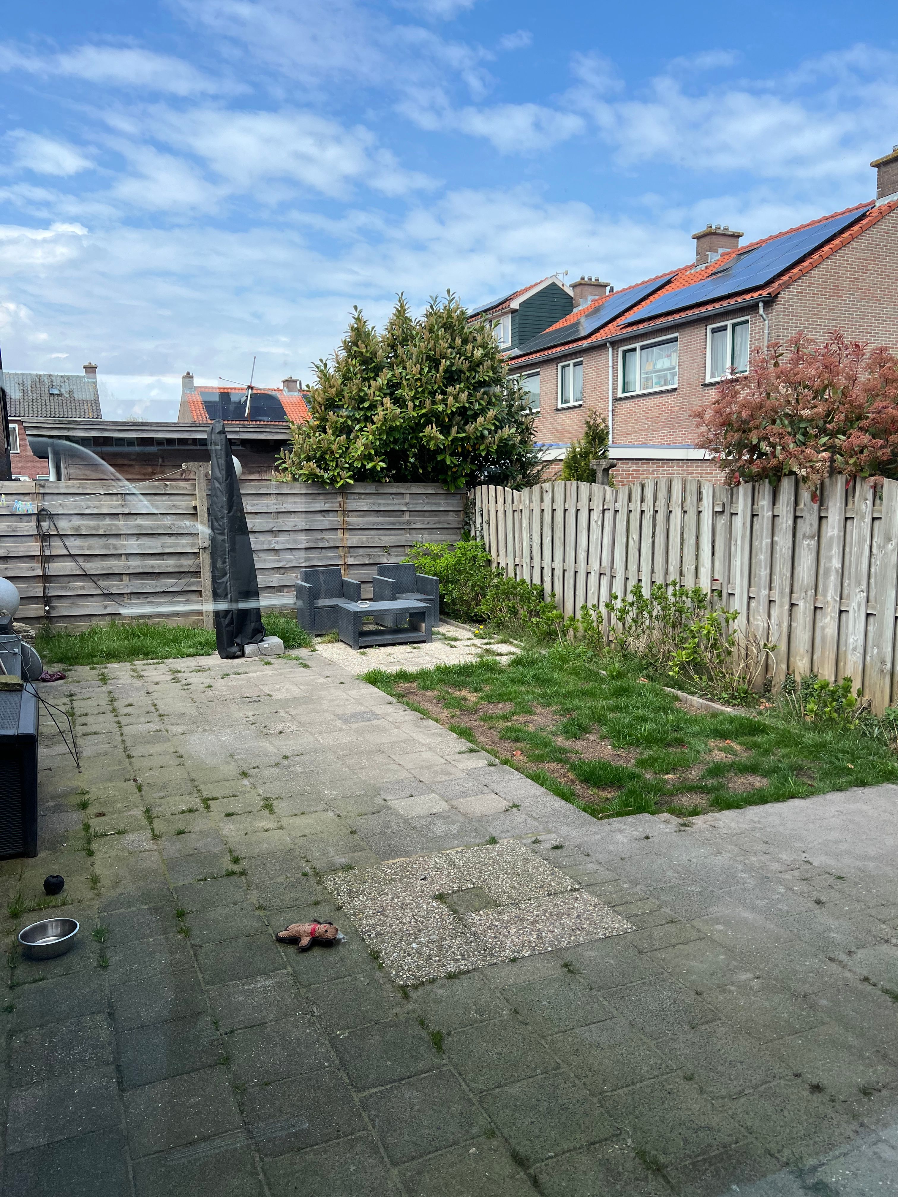 image-18