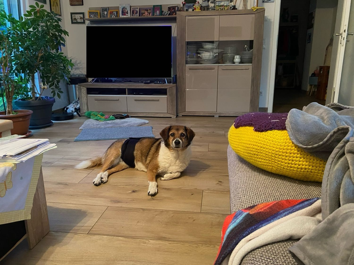 image-7