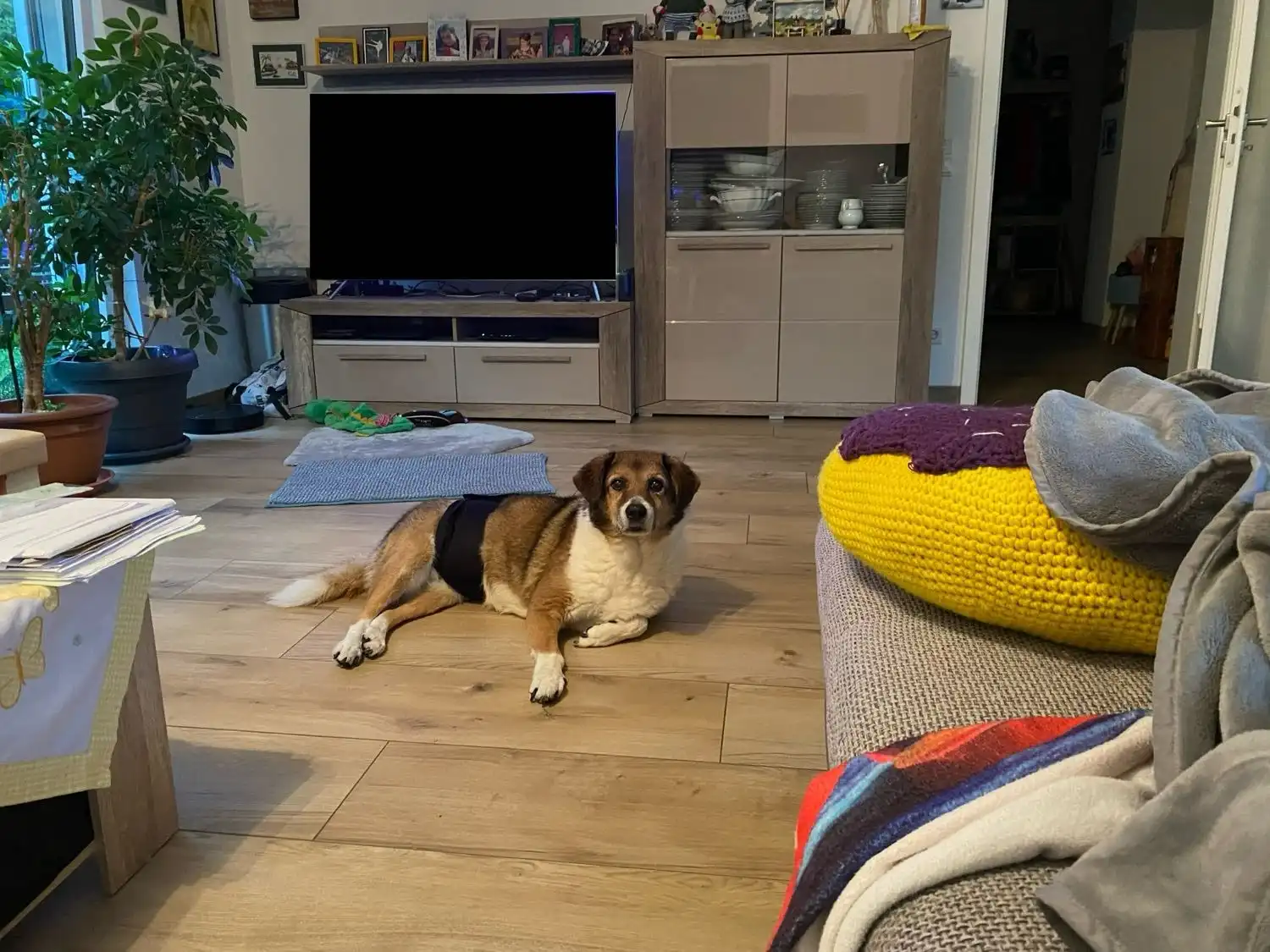 image-7