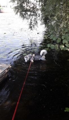 image-5