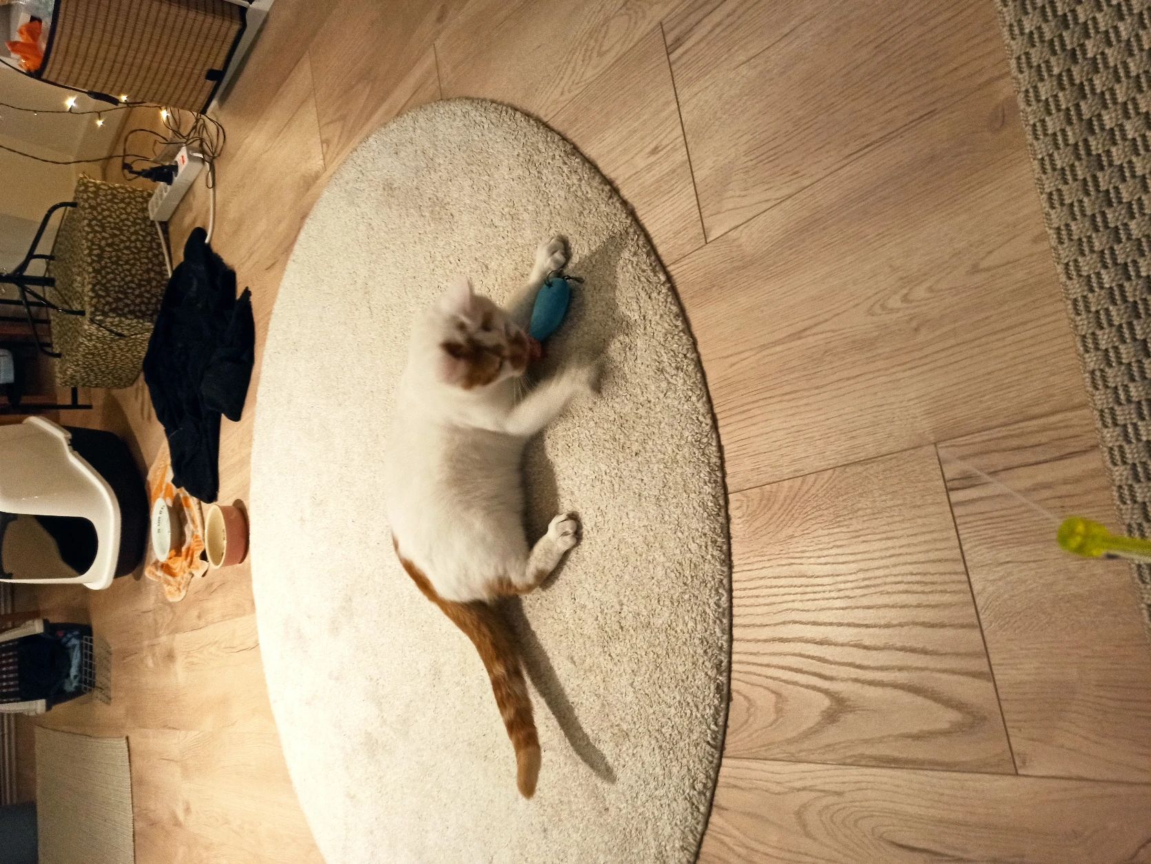 image-12