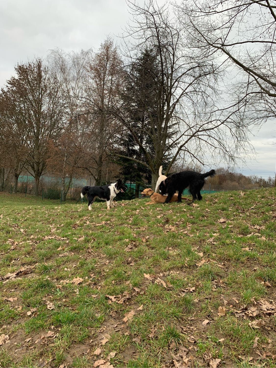 image-9
