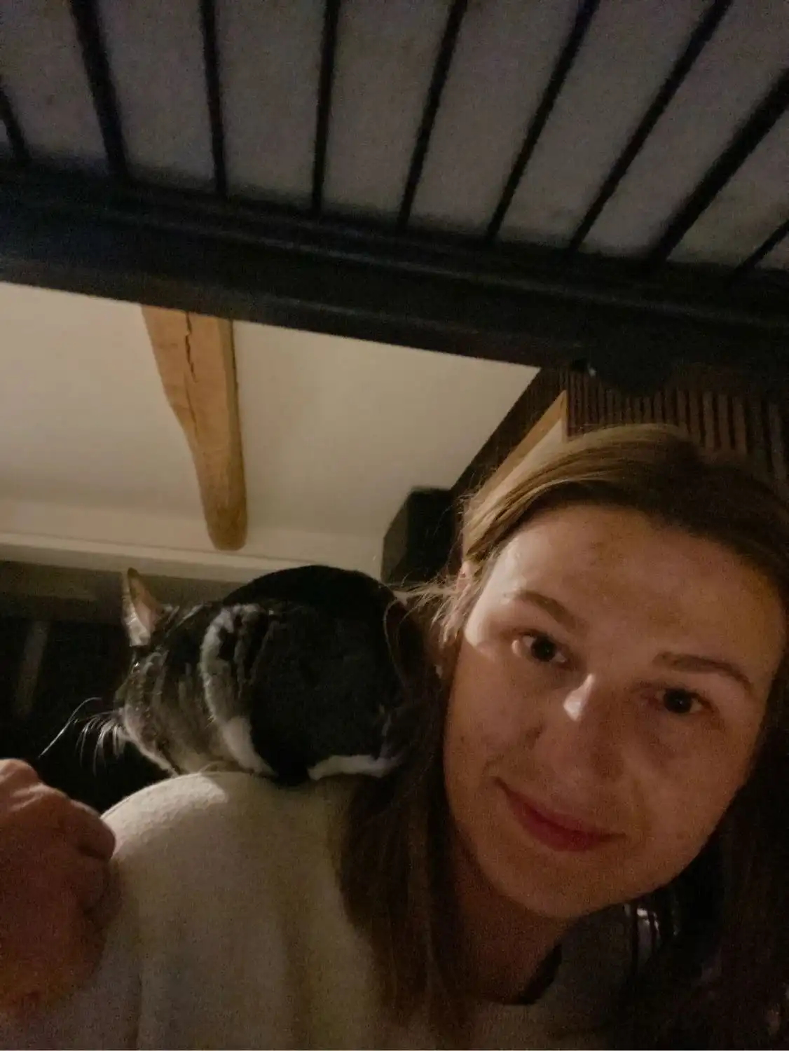 image-6