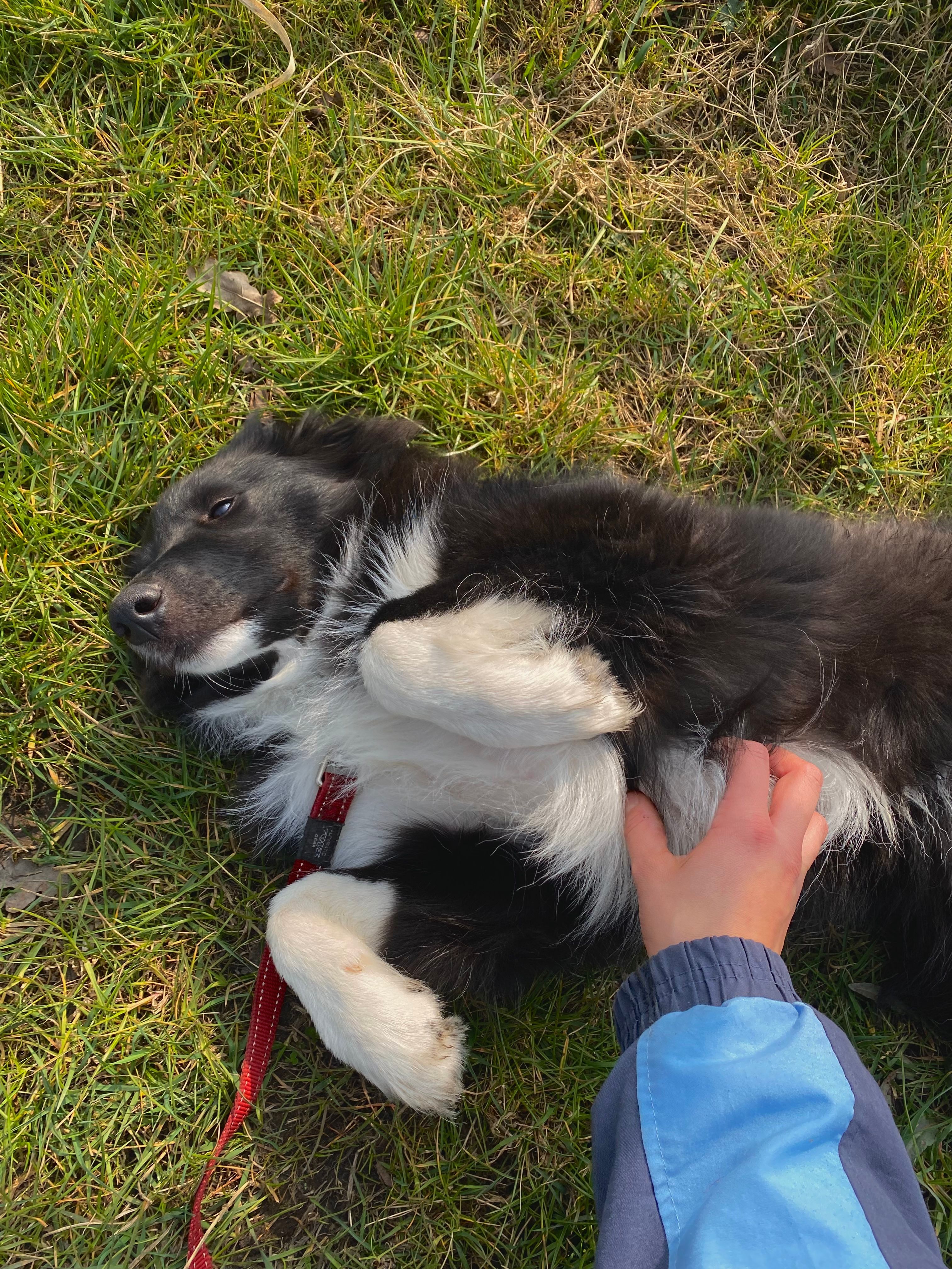image-5