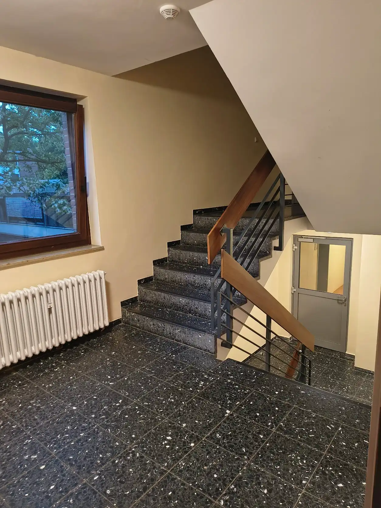 image-19