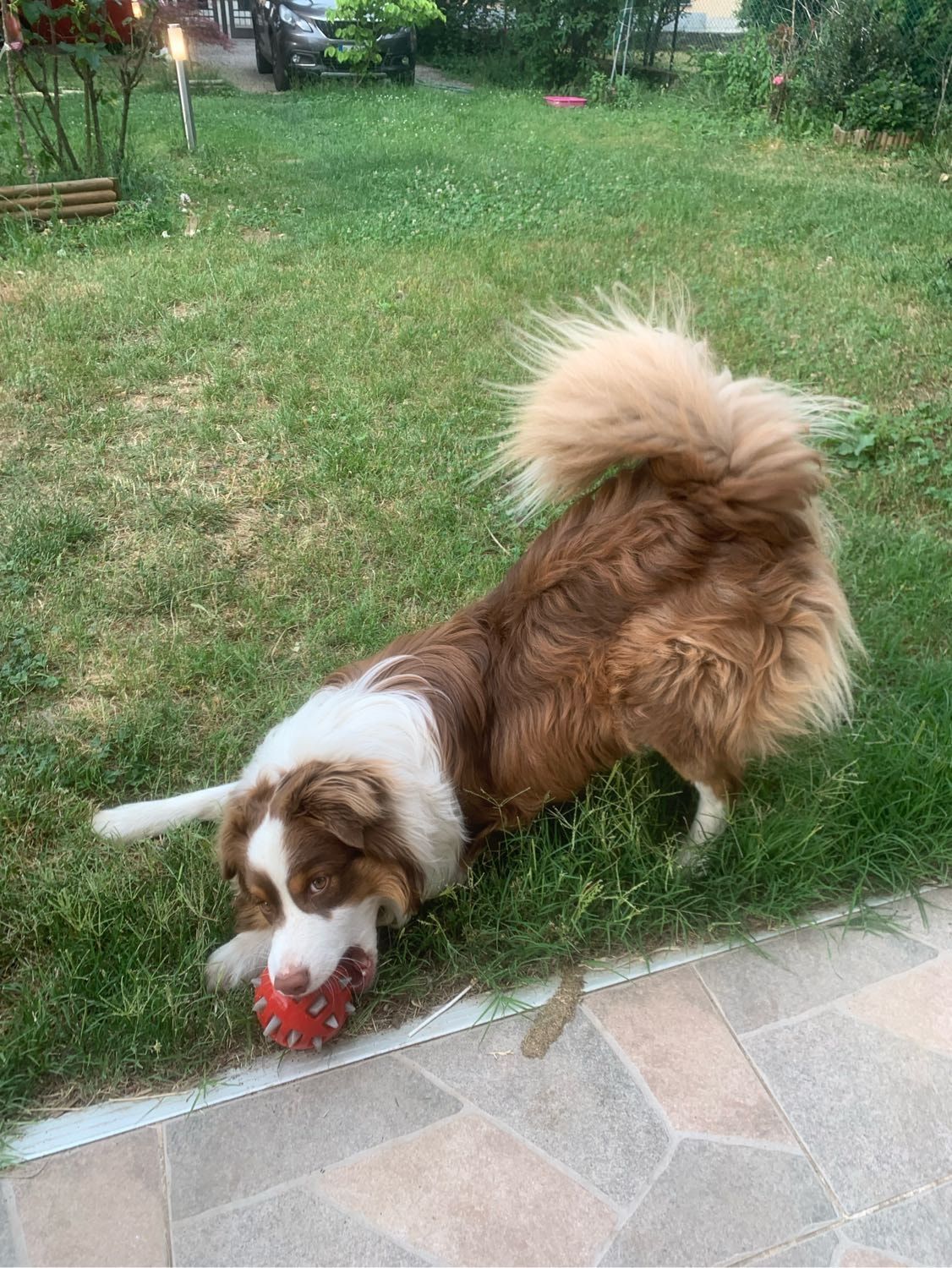 image-8