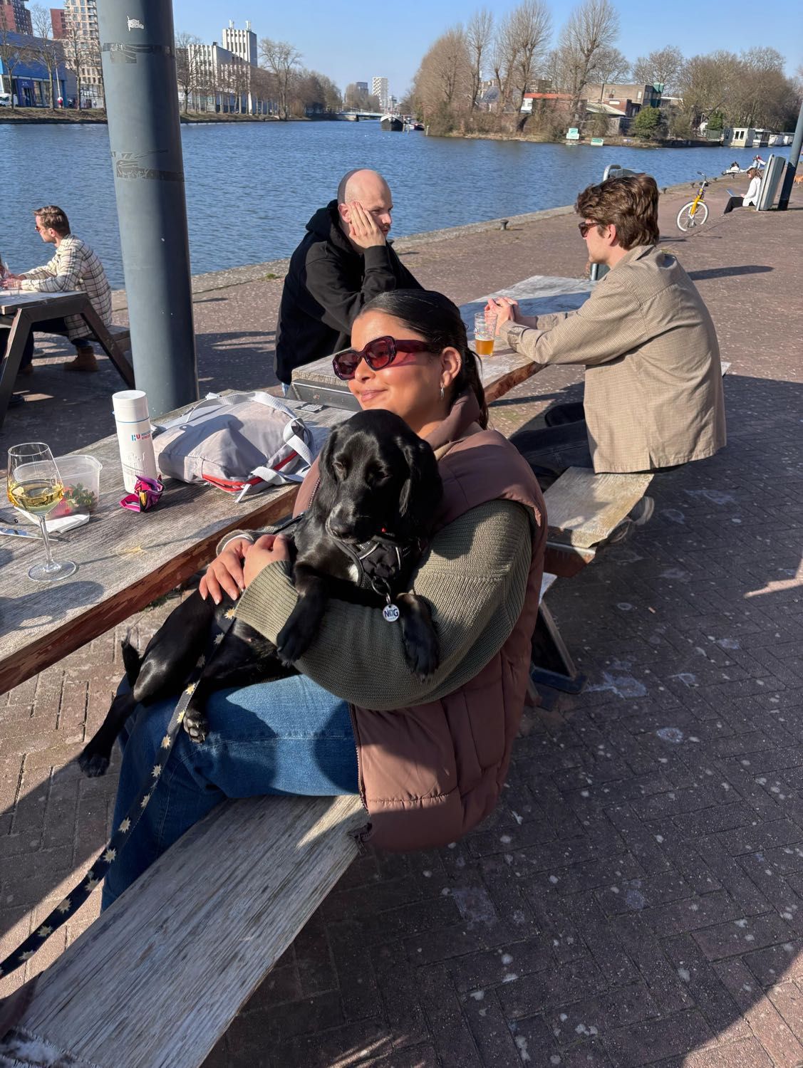 image-12