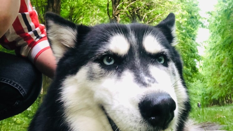 image-8