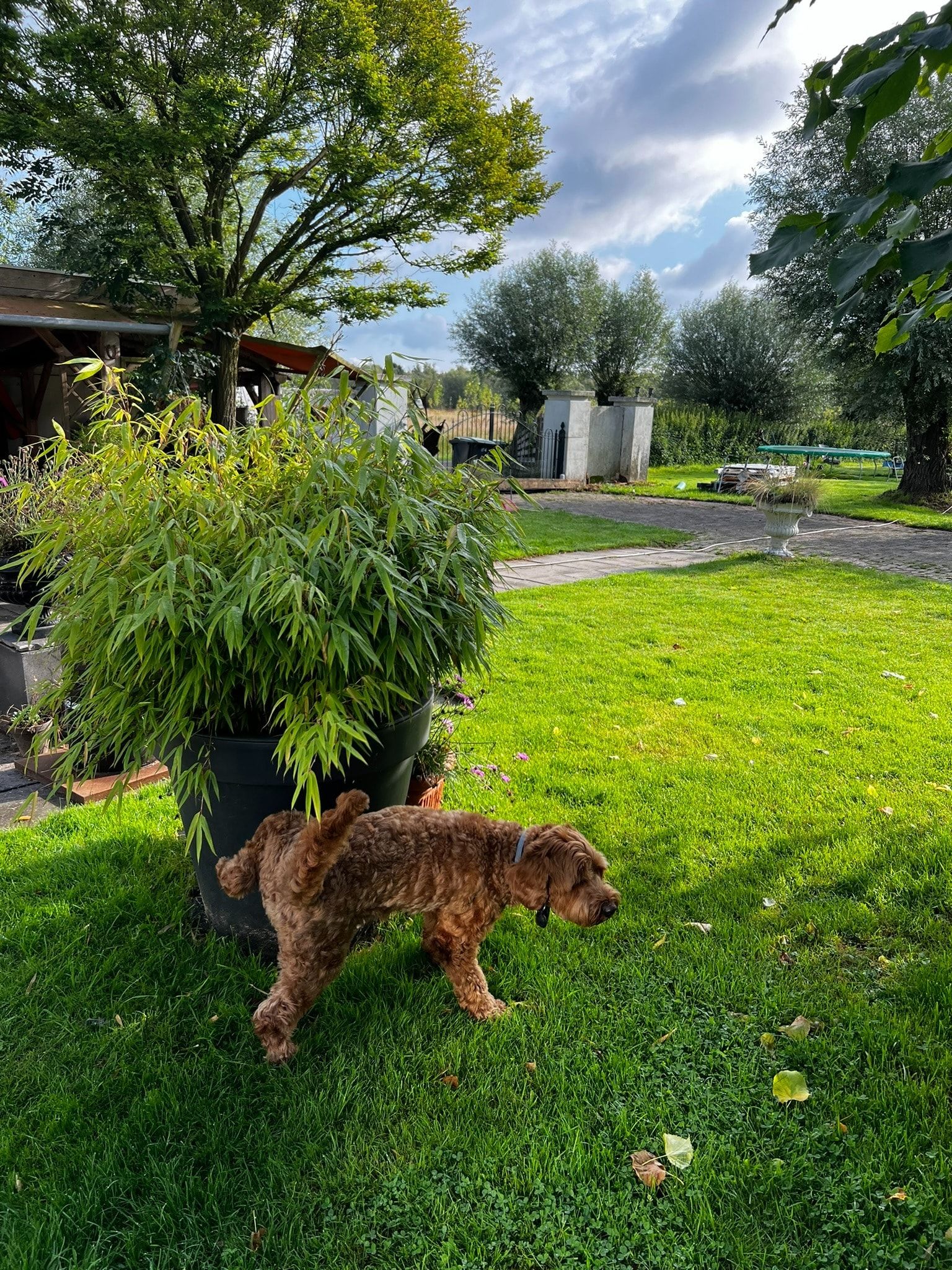 image-18