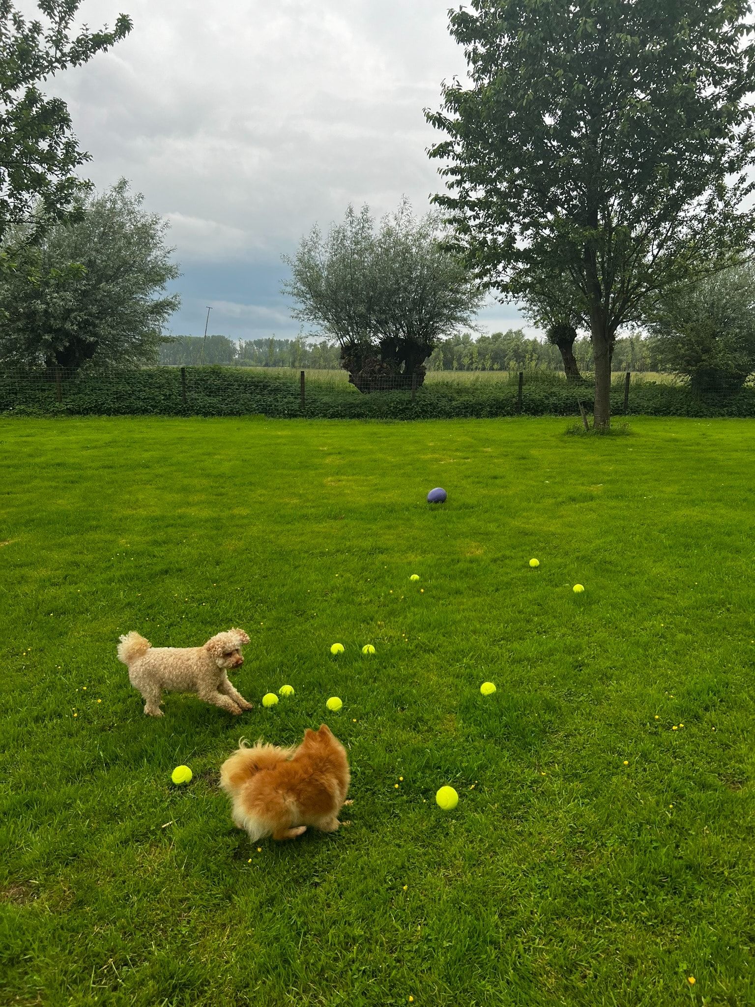image-20