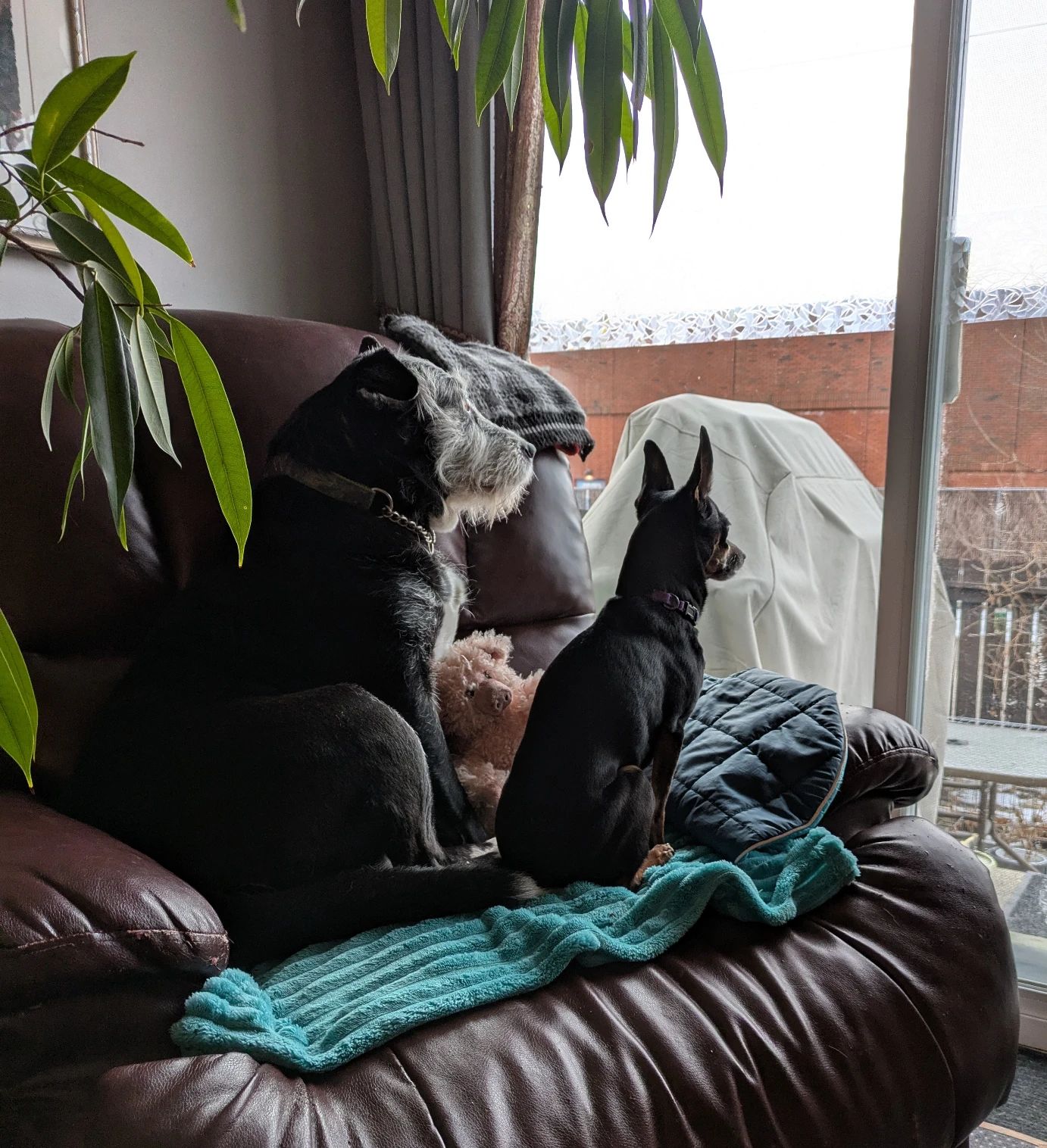 image-12