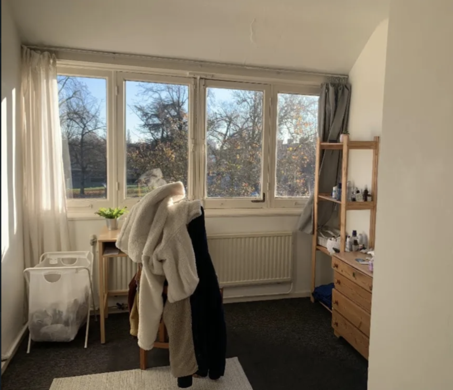 image-11