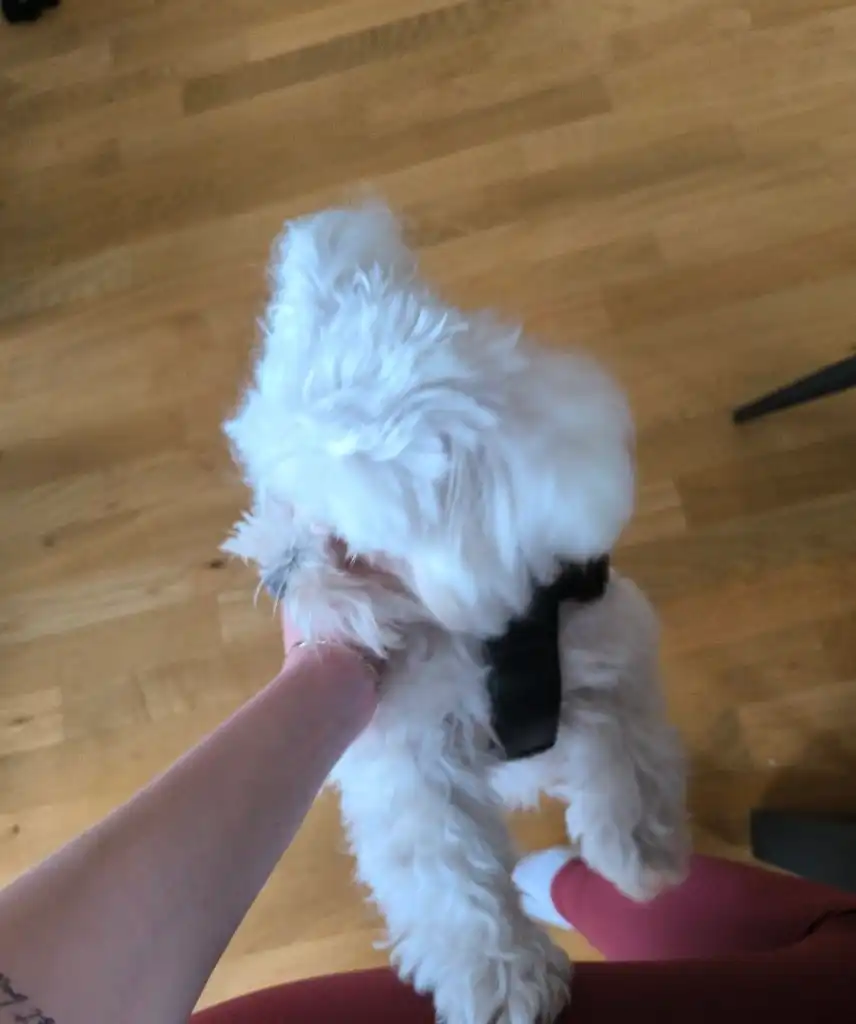 image-9