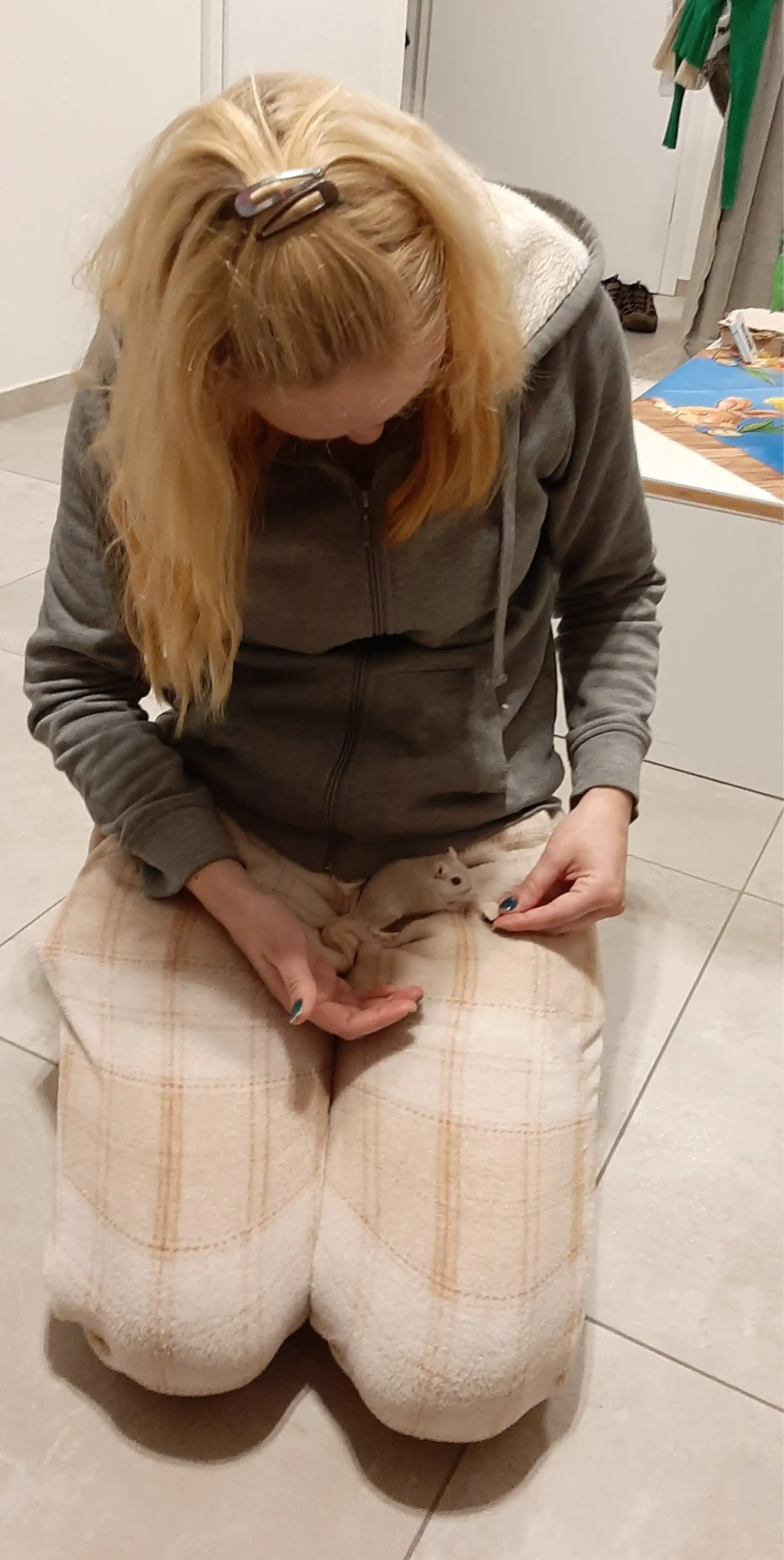 image-9