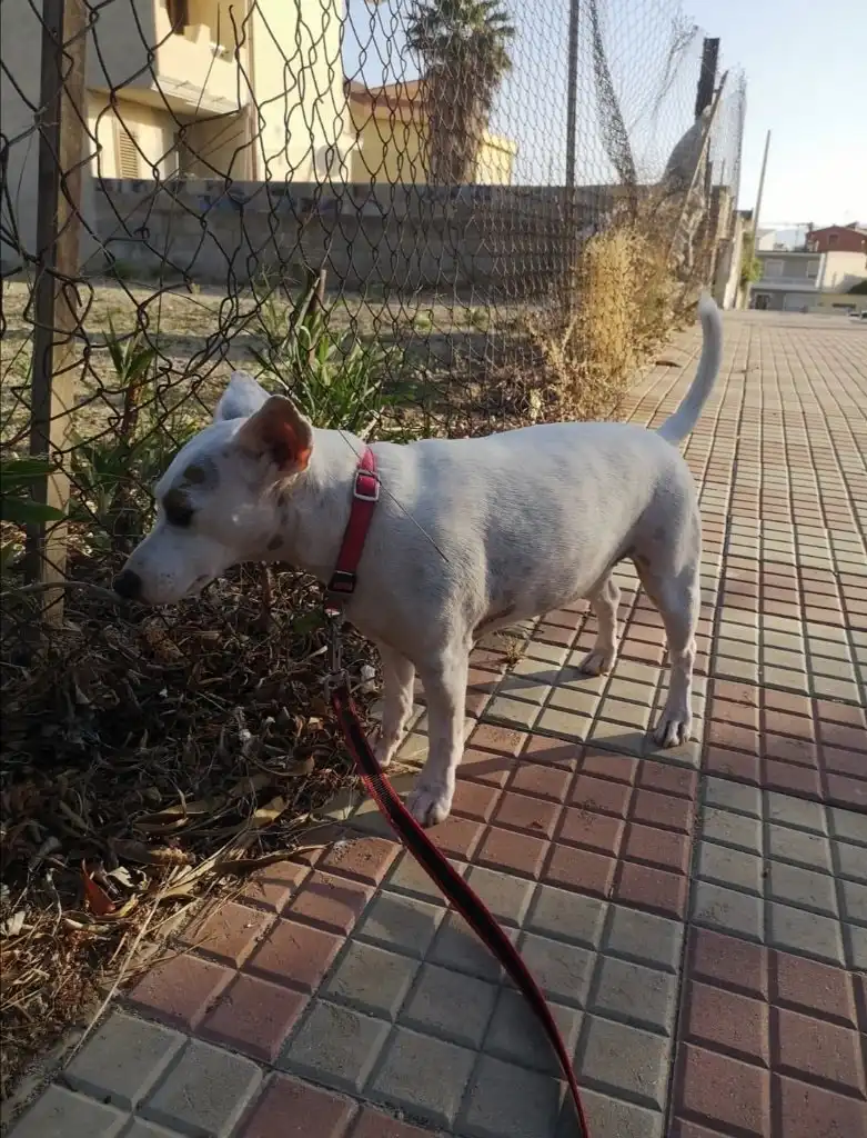 image-16