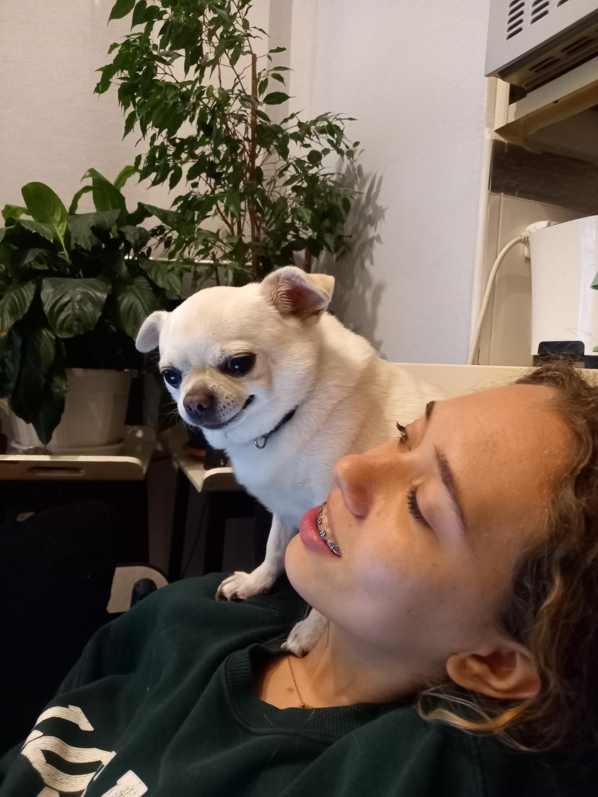 image-4