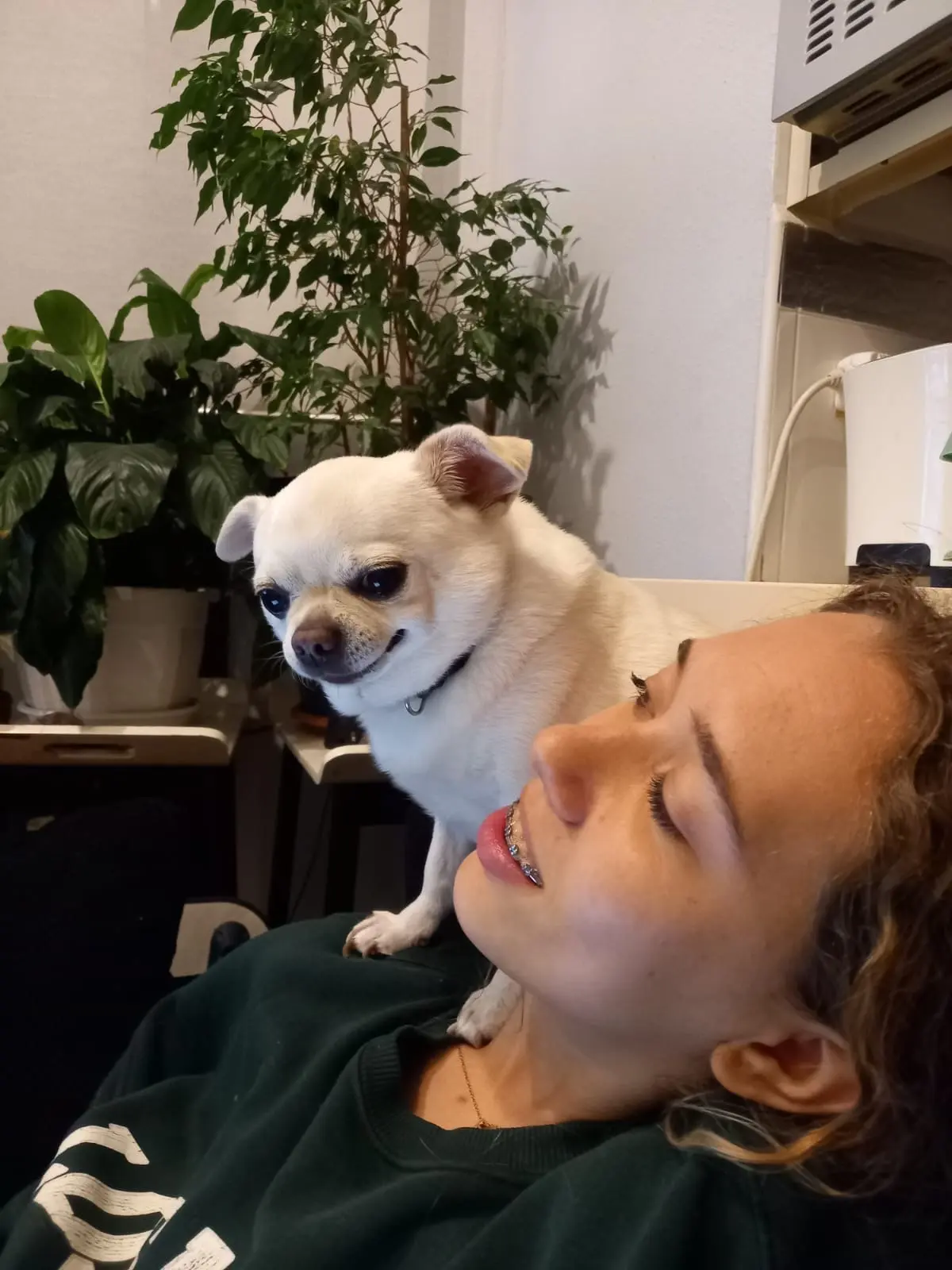 image-4