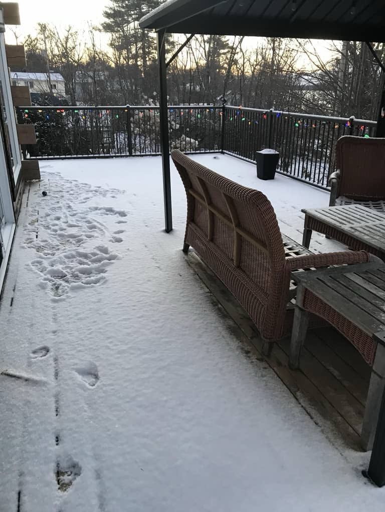 image-9