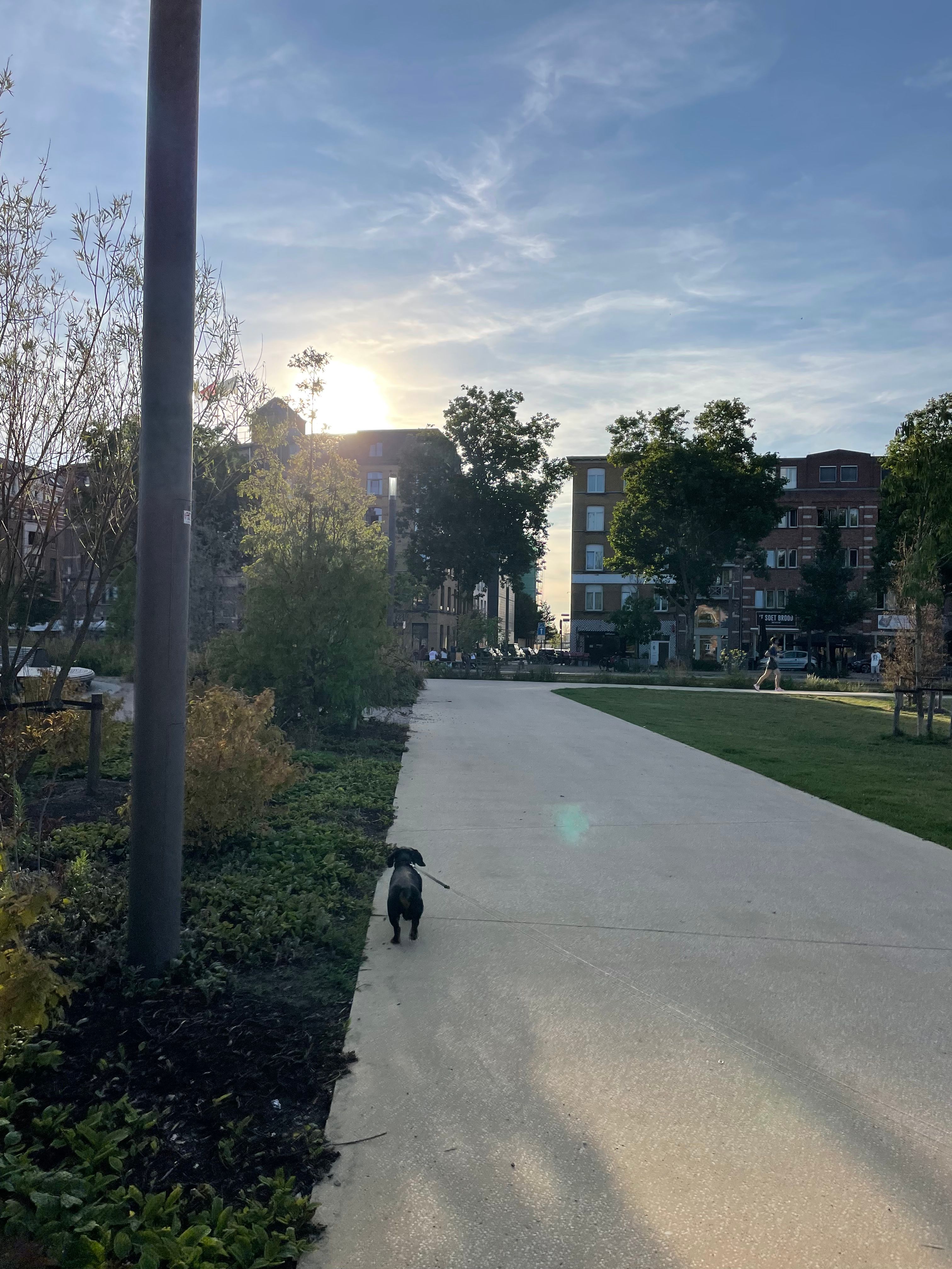 image-14