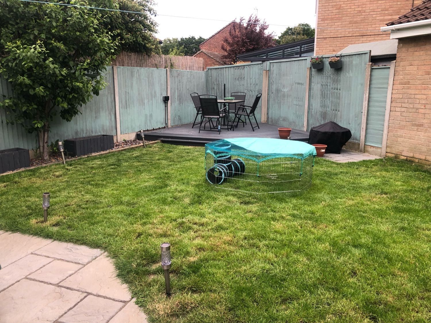 image-3