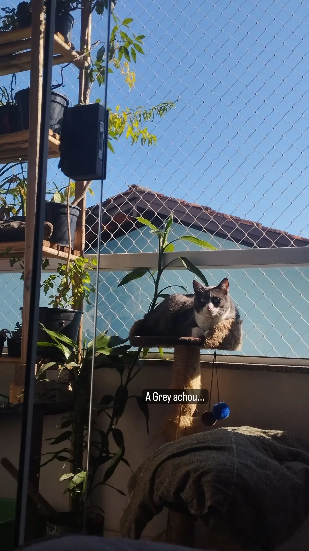 image-18