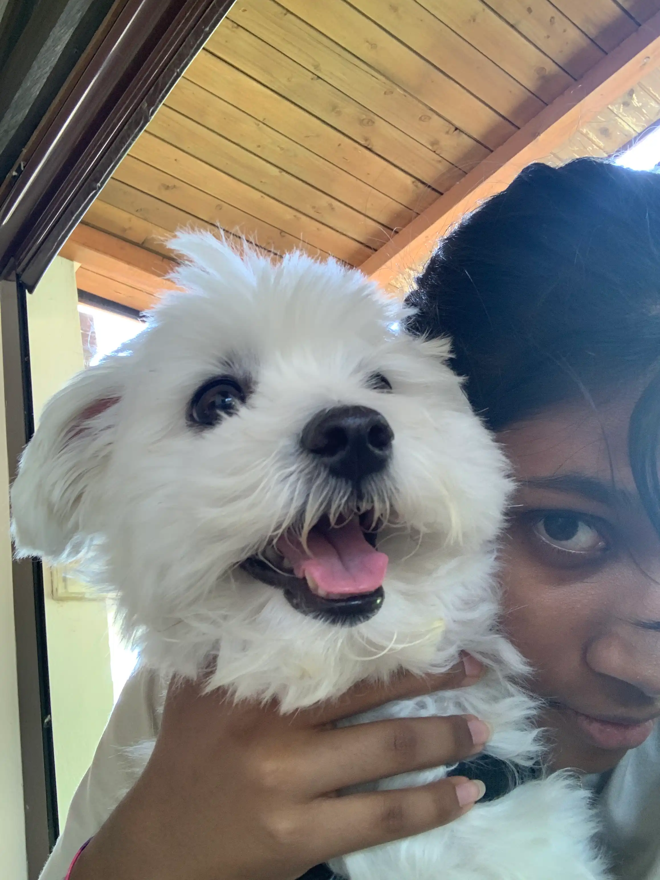 image-20