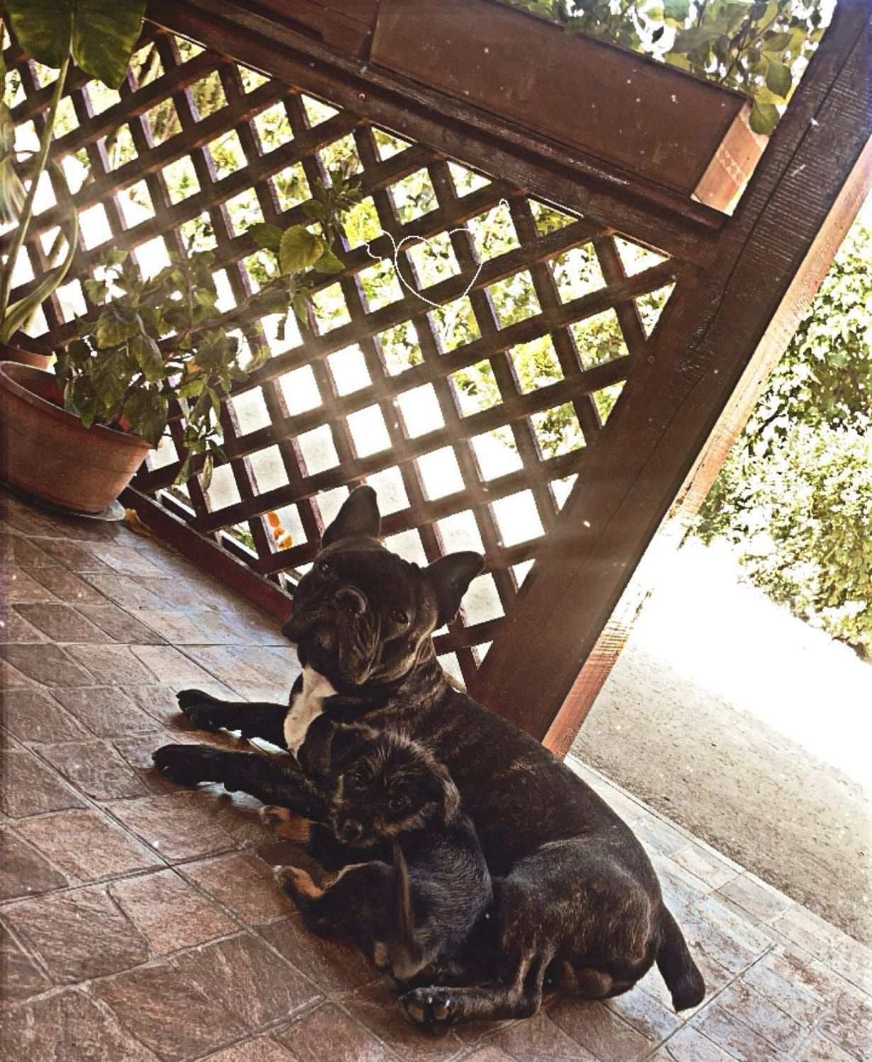 image-3