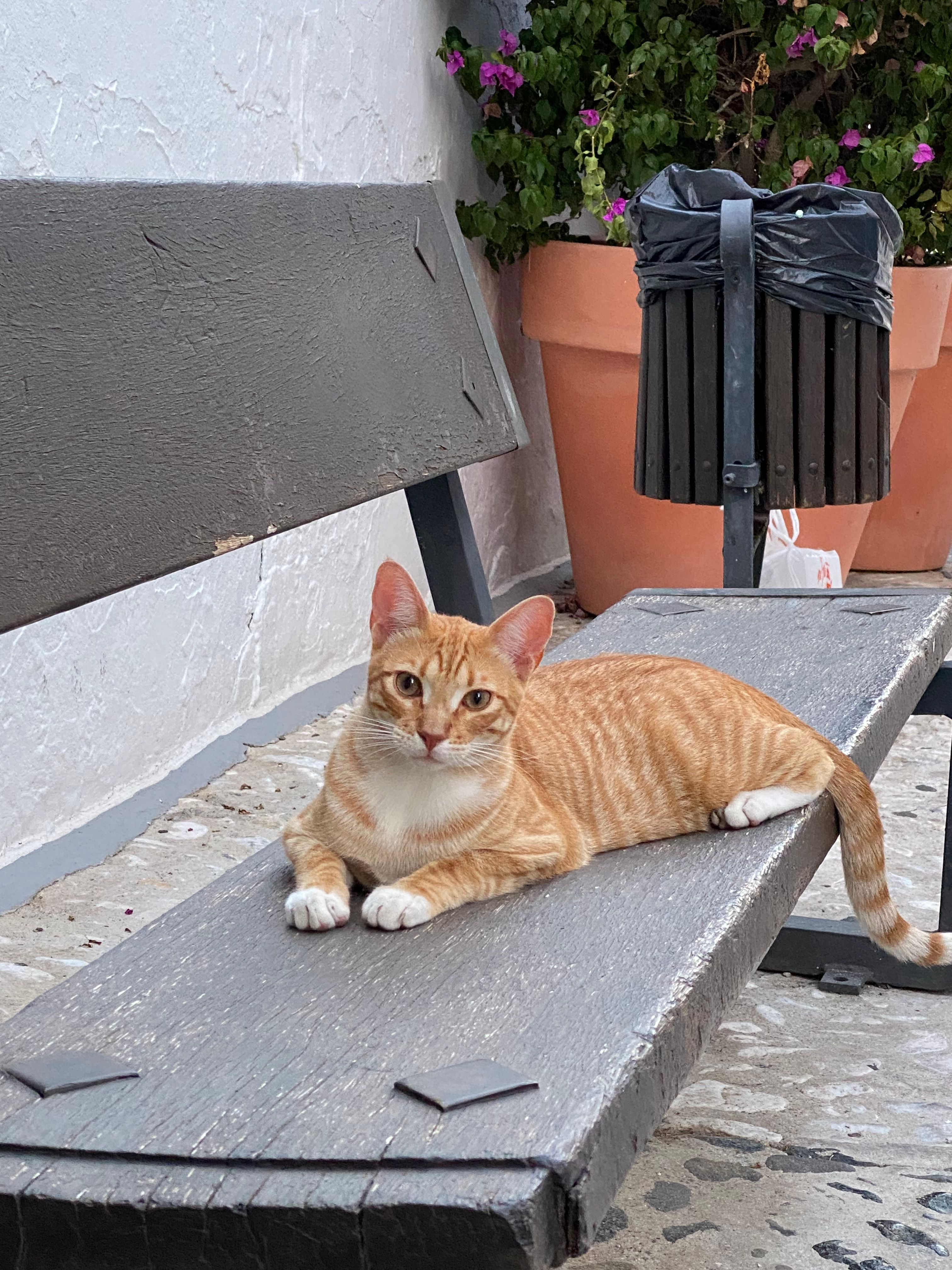 image-18