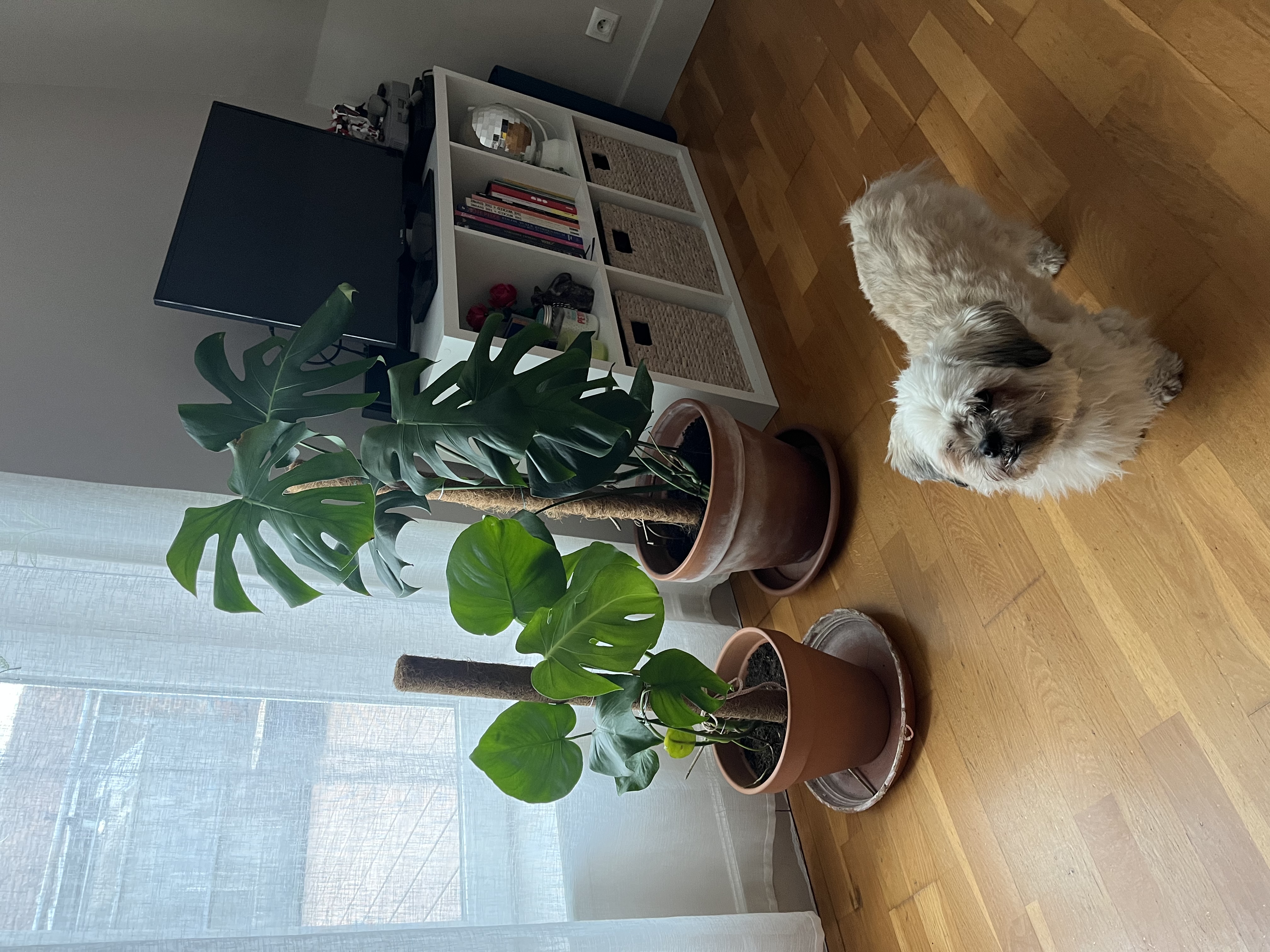 image-13