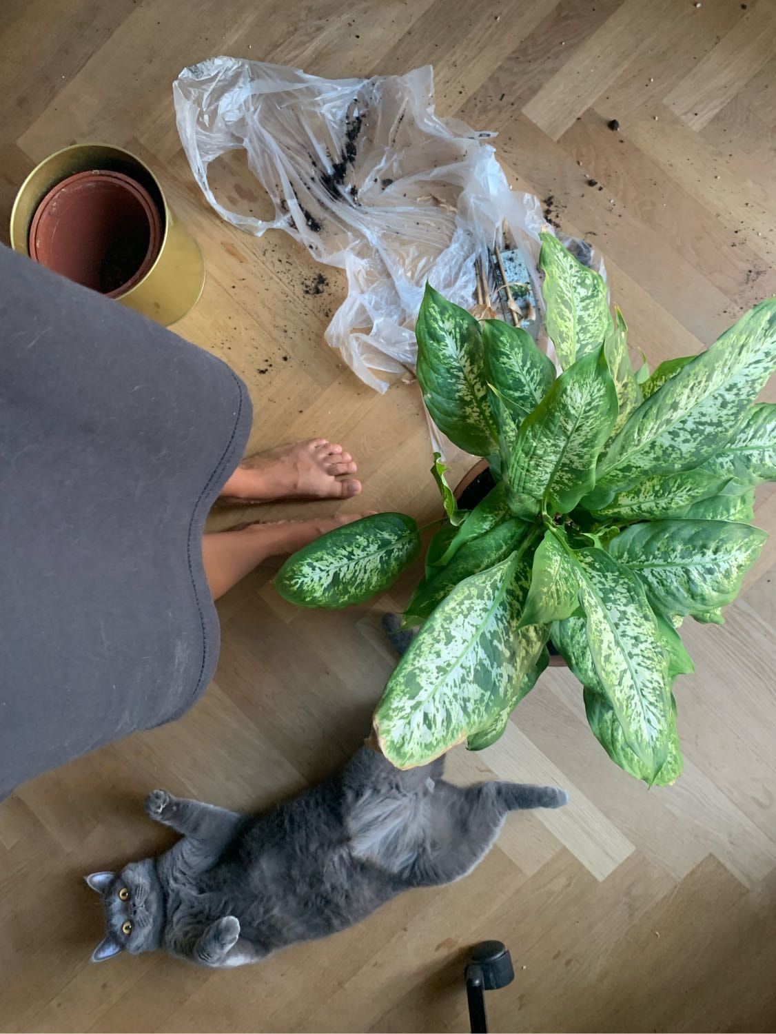 image-7
