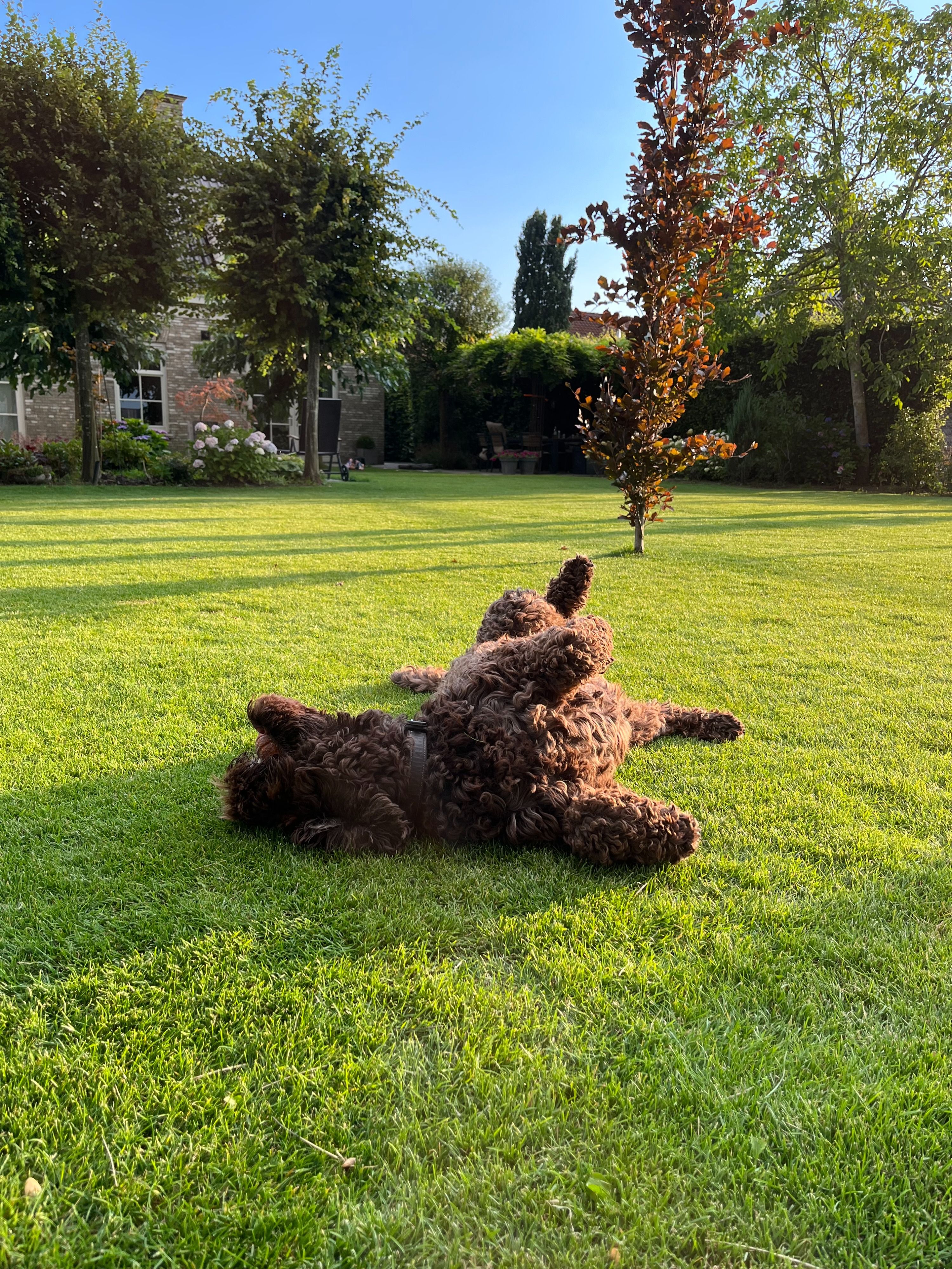 image-5